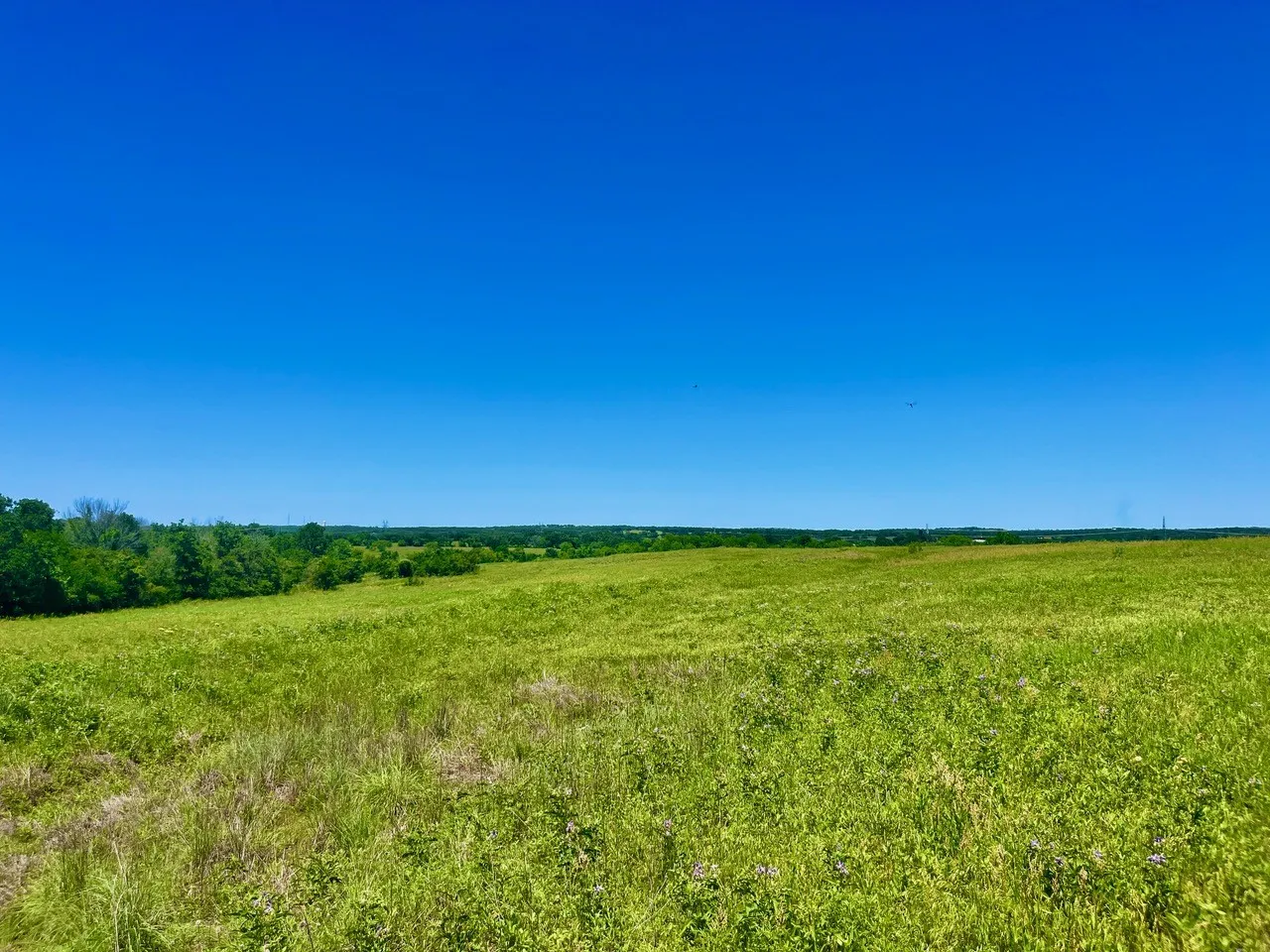 View of nature with a rural view