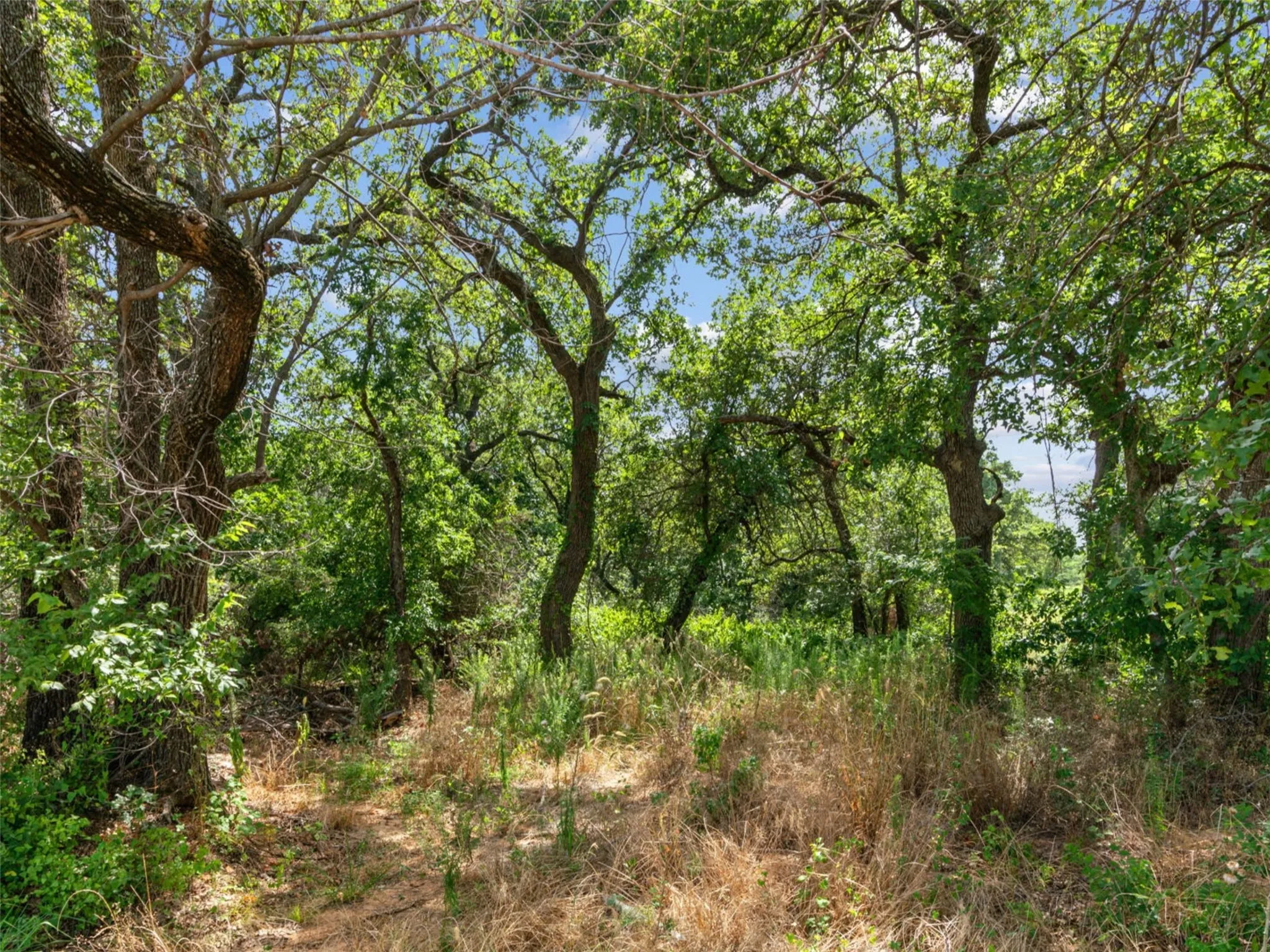 Unimproved Land For Sale in Parker County , Lot 54 Kilkenny Rd, Poolville, Texas 76487, 0, 0, Garage spaces, 0 Sqft, built in 0, mls#21309223, Real Estate Agent in Poolville, Homes For Sale in Parker county, Homes For Sale in Poolville, Realtor in Poolville Texas, Real Estate Brokerage Independent Realty Texas, Luminita Cordes Realtor