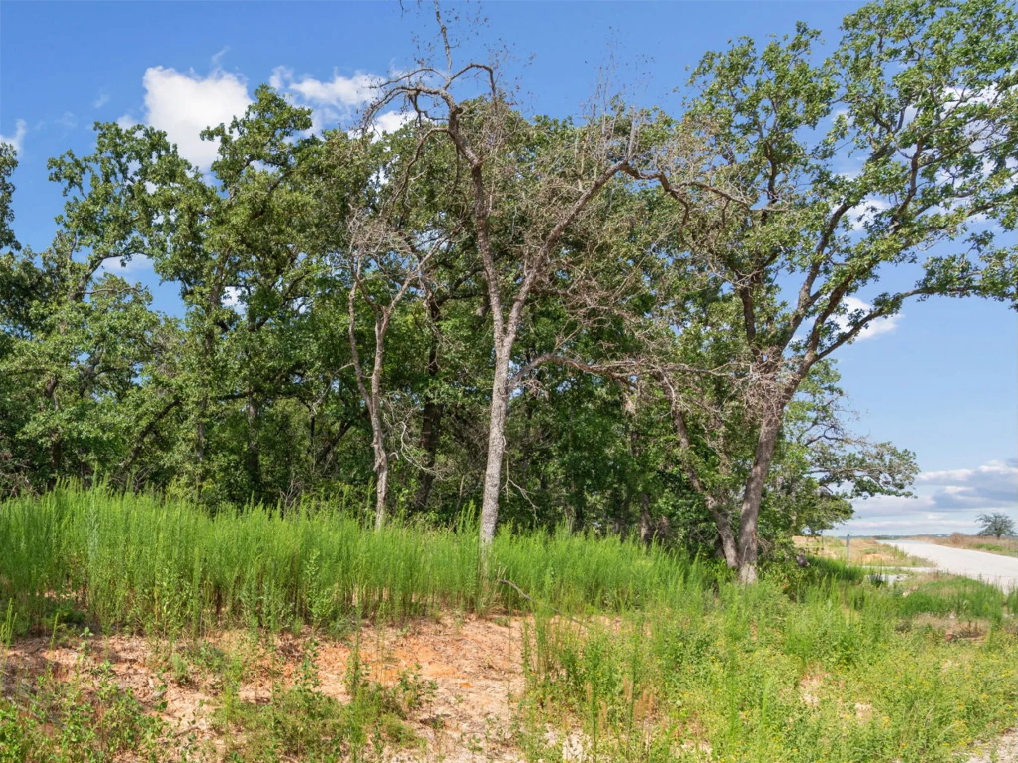 Unimproved Land For Sale in Parker County , Lot 54 Kilkenny Rd, Poolville, Texas 76487, 0, 0, Garage spaces, 0 Sqft, built in 0, mls#21309223, Real Estate Agent in Poolville, Homes For Sale in Parker county, Homes For Sale in Poolville, Realtor in Poolville Texas, Real Estate Brokerage Independent Realty Texas, Luminita Cordes Realtor