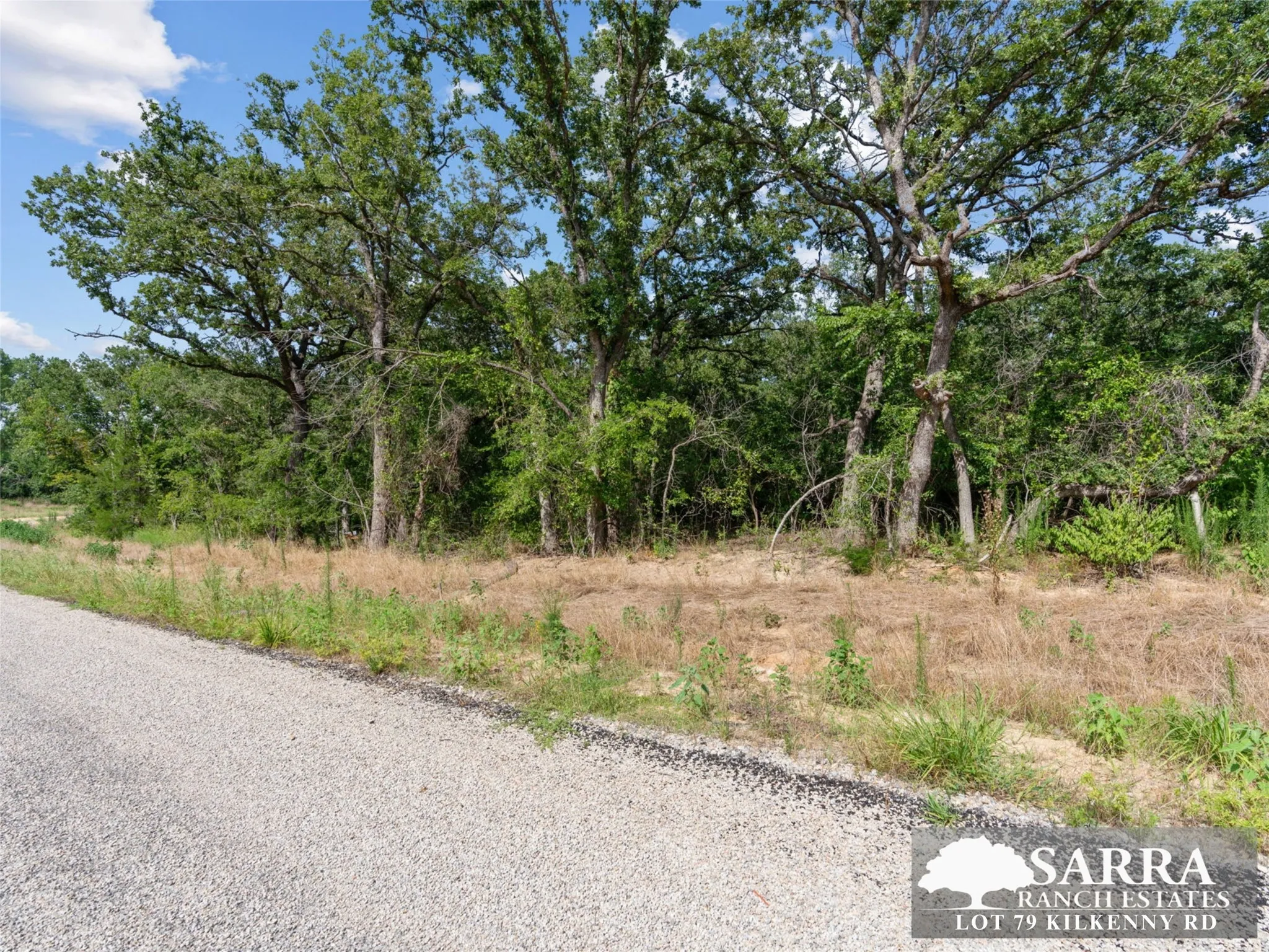 Unimproved Land For Sale in Parker County , Lot 79 Kilkenney Road, Poolville, Texas 76487, 0, 0, Garage spaces, 0 Sqft, built in 0, Price $79,900, mls#21309229, Real Estate Agent in Poolville, Homes For Sale in Parker county, Homes For Sale in Poolville, Realtor in Poolville Texas, Real Estate Brokerage Independent Realty Texas, Luminita Cordes Realtor