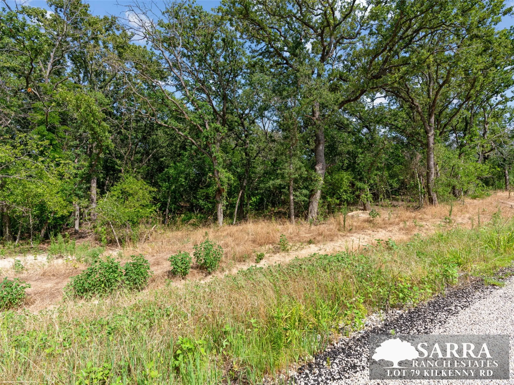 Unimproved Land For Sale in Parker County , Lot 79 Kilkenney Road, Poolville, Texas 76487, 0, 0, Garage spaces, 0 Sqft, built in 0, Price $79,900, mls#21309229, Real Estate Agent in Poolville, Homes For Sale in Parker county, Homes For Sale in Poolville, Realtor in Poolville Texas, Real Estate Brokerage Independent Realty Texas, Luminita Cordes Realtor