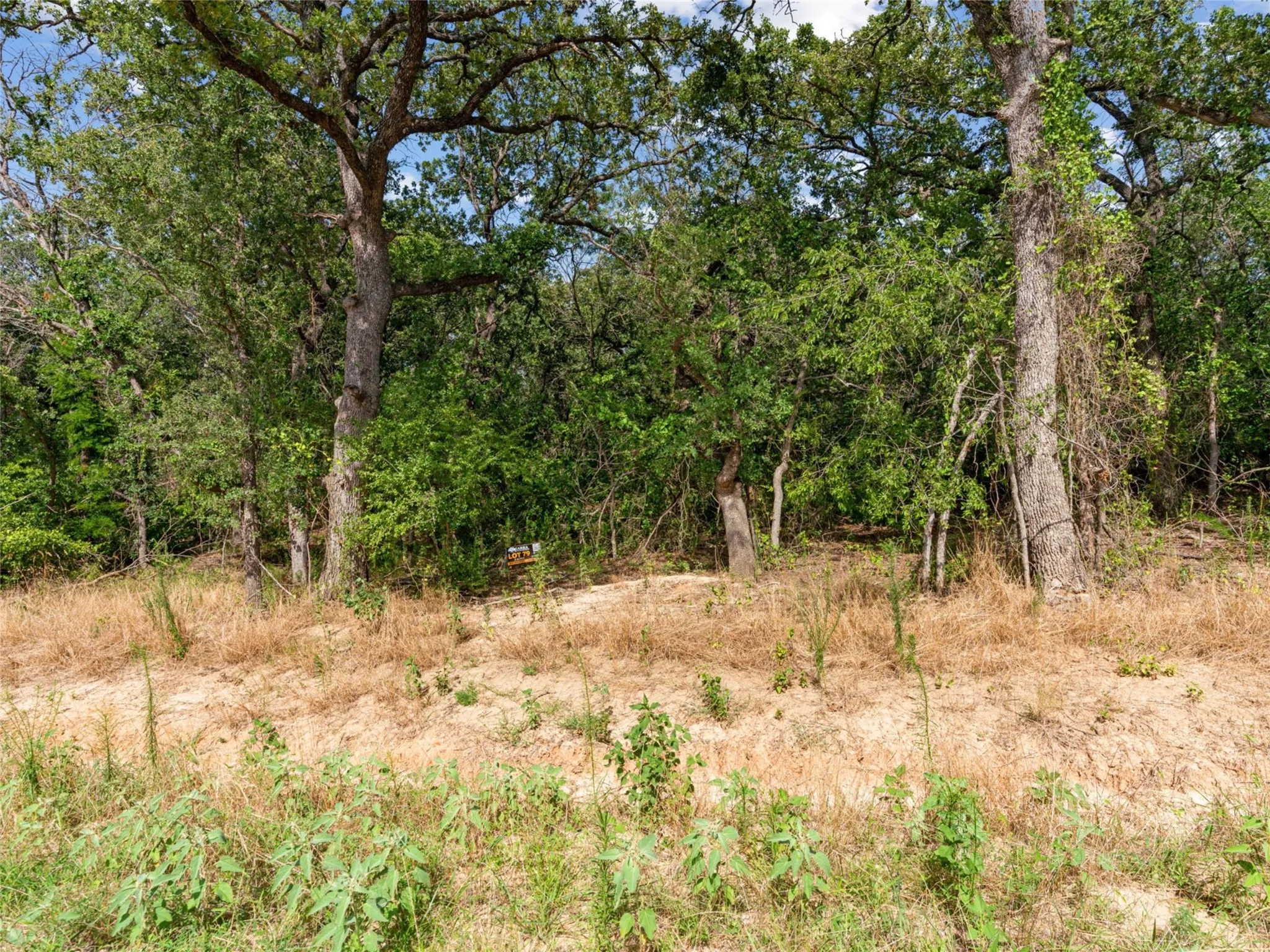 Unimproved Land For Sale in Parker County , Lot 79 Kilkenney Road, Poolville, Texas 76487, 0, 0, Garage spaces, 0 Sqft, built in 0, Price $79,900, mls#21309229, Real Estate Agent in Poolville, Homes For Sale in Parker county, Homes For Sale in Poolville, Realtor in Poolville Texas, Real Estate Brokerage Independent Realty Texas, Luminita Cordes Realtor