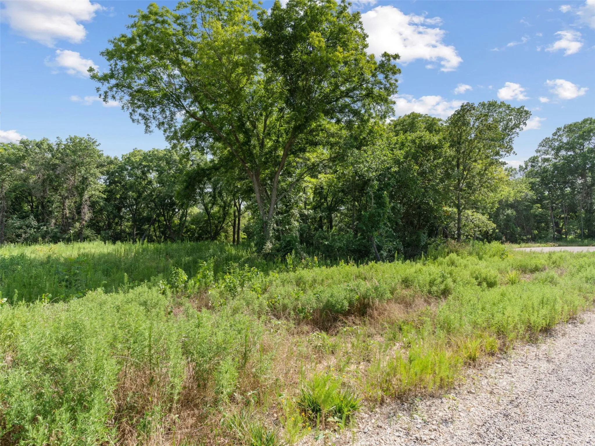 Unimproved Land For Sale in Parker County , Lot 50 Wicklow Court, Poolville, Texas 76487, 0, 0, Garage spaces, 0 Sqft, built in 0, Price $79,900, mls#21309249, Real Estate Agent in Poolville, Homes For Sale in Parker county, Homes For Sale in Poolville, Realtor in Poolville Texas, Real Estate Brokerage Independent Realty Texas, Luminita Cordes Realtor