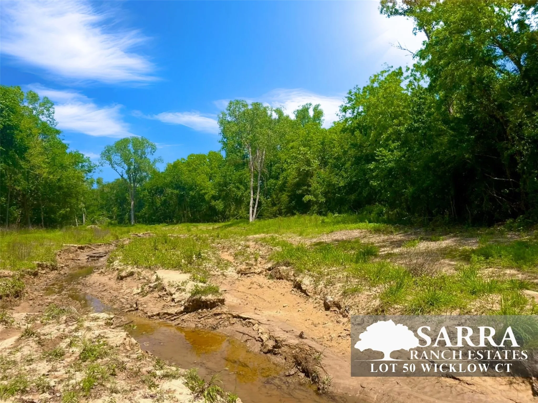 Unimproved Land For Sale in Parker County , Lot 50 Wicklow Court, Poolville, Texas 76487, 0, 0, Garage spaces, 0 Sqft, built in 0, Price $79,900, mls#21309249, Real Estate Agent in Poolville, Homes For Sale in Parker county, Homes For Sale in Poolville, Realtor in Poolville Texas, Real Estate Brokerage Independent Realty Texas, Luminita Cordes Realtor