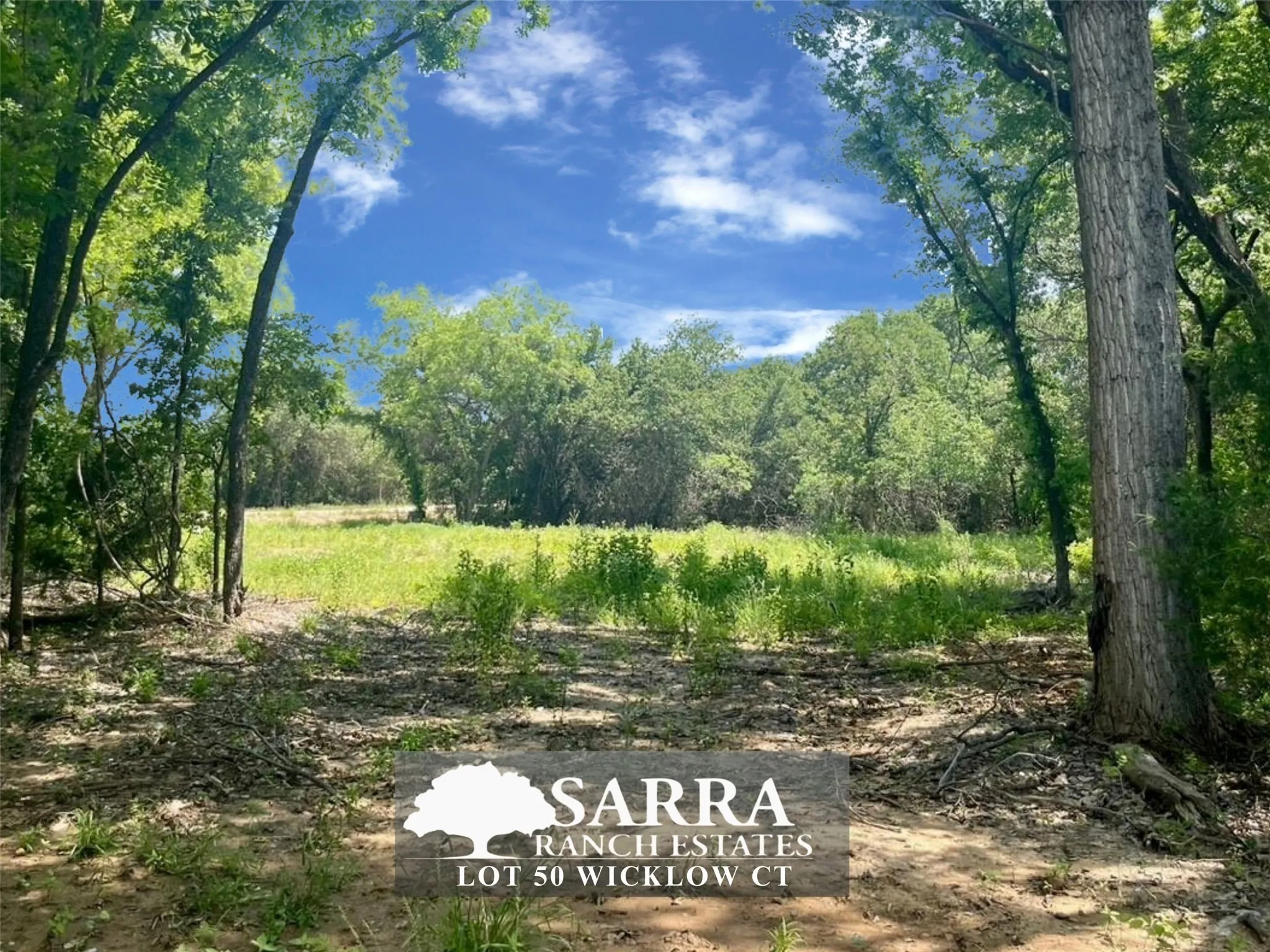Unimproved Land For Sale in Parker County , Lot 50 Wicklow Court, Poolville, Texas 76487, 0, 0, Garage spaces, 0 Sqft, built in 0, Price $79,900, mls#21309249, Real Estate Agent in Poolville, Homes For Sale in Parker county, Homes For Sale in Poolville, Realtor in Poolville Texas, Real Estate Brokerage Independent Realty Texas, Luminita Cordes Realtor