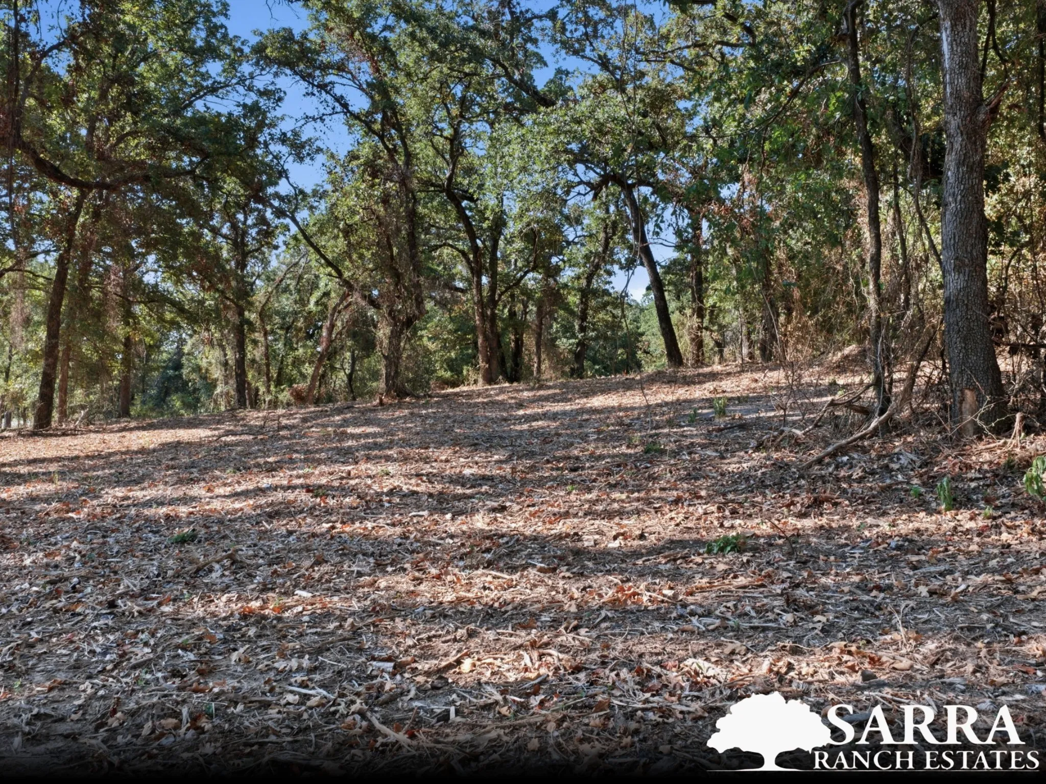 Unimproved Land For Sale in Parker County , Lot 44 Antrim Court, Poolville, Texas 76487, 0, 0, Garage spaces, 0 Sqft, built in 0, mls#21309258, Real Estate Agent in Poolville, Homes For Sale in Parker county, Homes For Sale in Poolville, Realtor in Poolville Texas, Real Estate Brokerage Independent Realty Texas, Luminita Cordes Realtor
