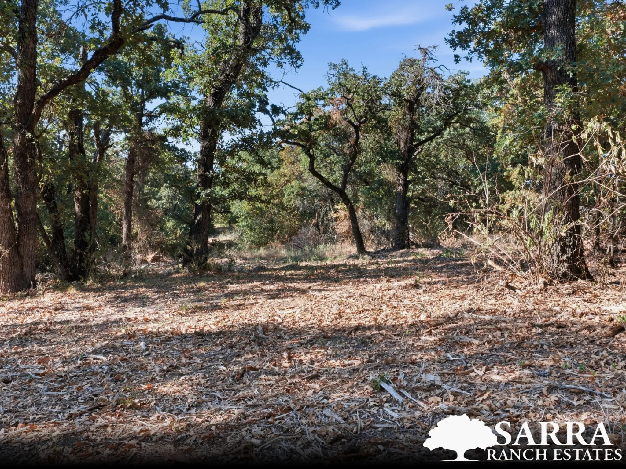 Unimproved Land For Sale in Parker County , Lot 44 Antrim Court, Poolville, Texas 76487, 0, 0, Garage spaces, 0 Sqft, built in 0, mls#21309258, Real Estate Agent in Poolville, Homes For Sale in Parker county, Homes For Sale in Poolville, Realtor in Poolville Texas, Real Estate Brokerage Independent Realty Texas, Luminita Cordes Realtor