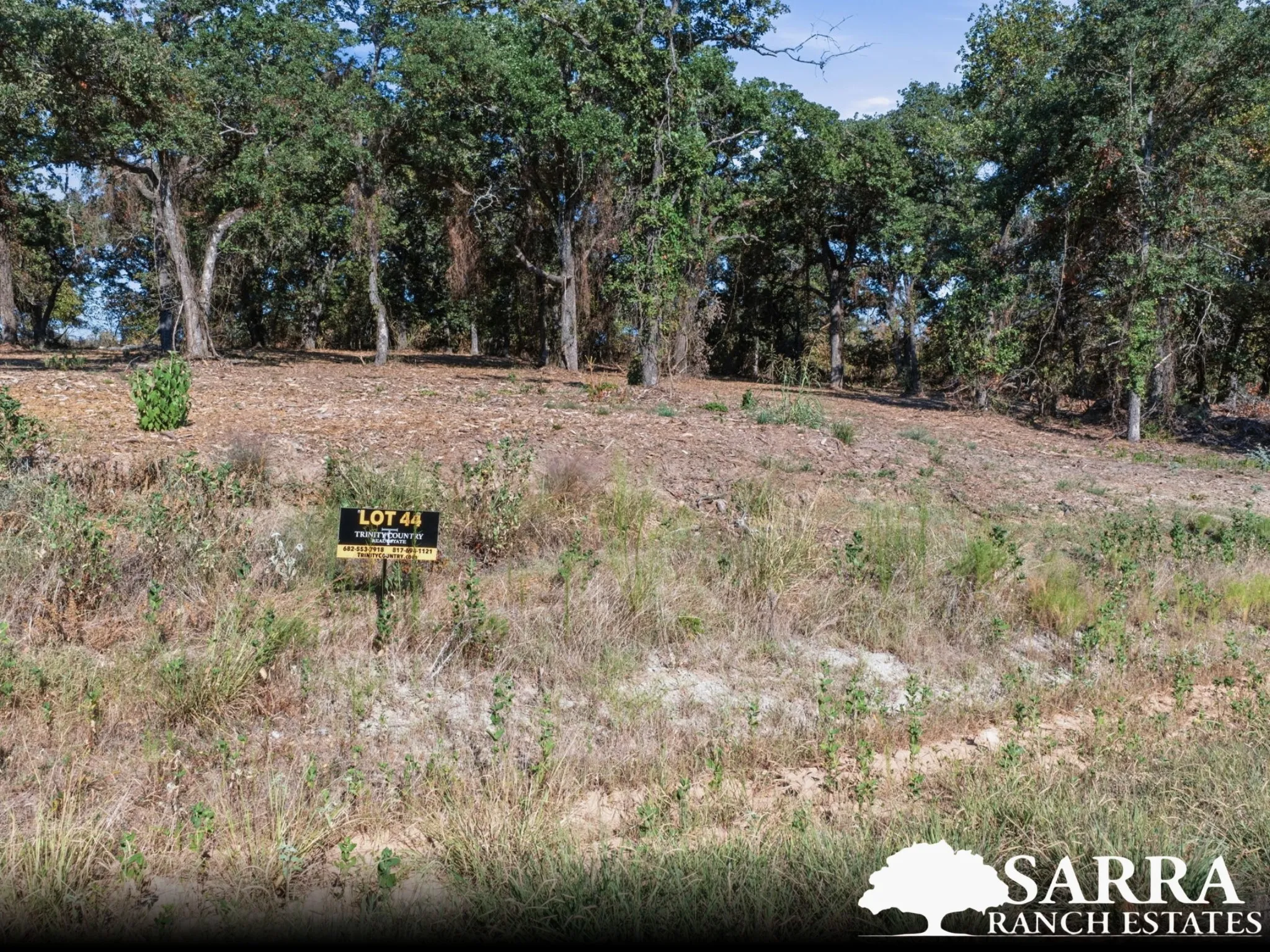 Unimproved Land For Sale in Parker County , Lot 44 Antrim Court, Poolville, Texas 76487, 0, 0, Garage spaces, 0 Sqft, built in 0, mls#21309258, Real Estate Agent in Poolville, Homes For Sale in Parker county, Homes For Sale in Poolville, Realtor in Poolville Texas, Real Estate Brokerage Independent Realty Texas, Luminita Cordes Realtor