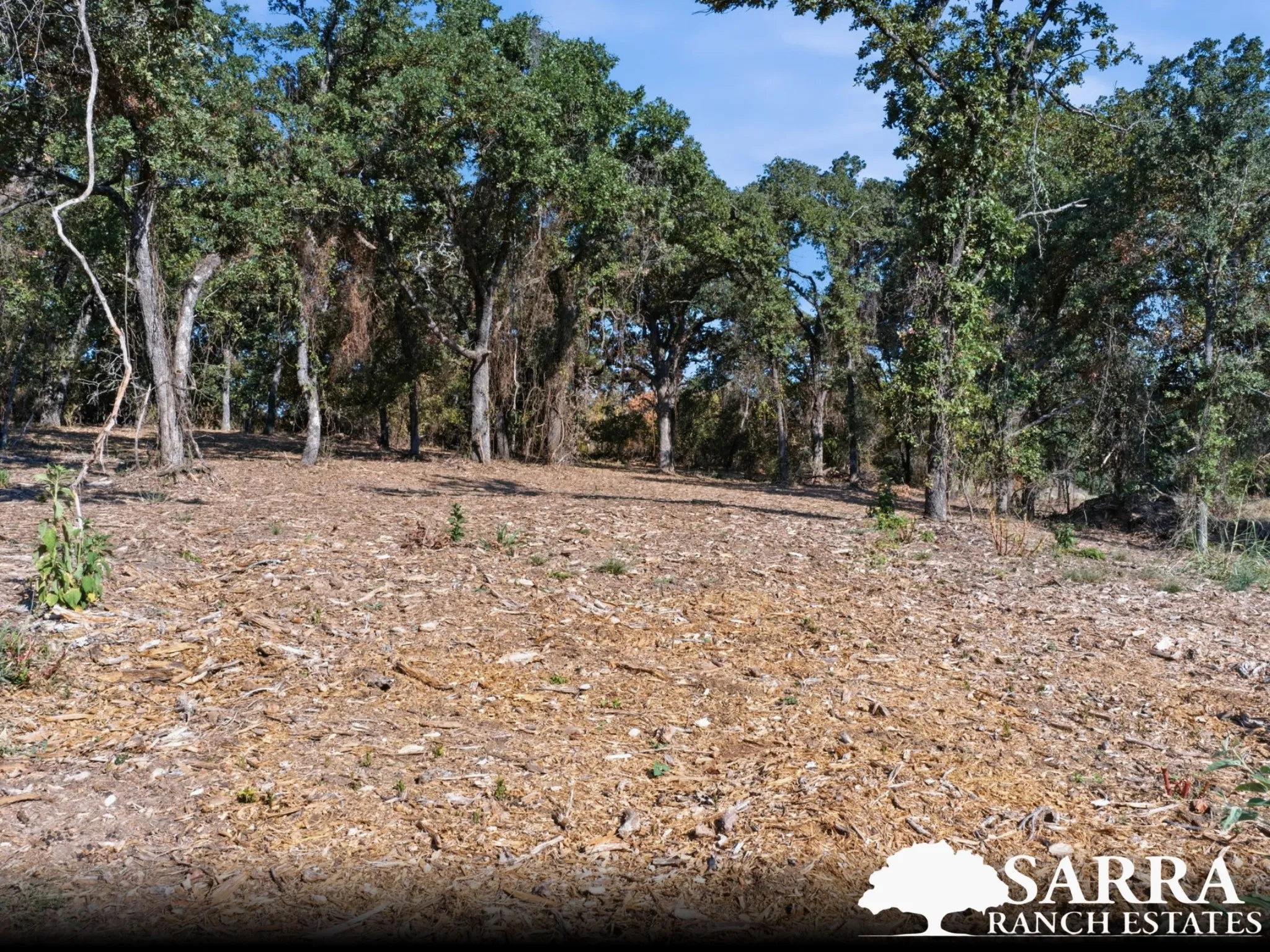 Unimproved Land For Sale in Parker County , Lot 44 Antrim Court, Poolville, Texas 76487, 0, 0, Garage spaces, 0 Sqft, built in 0, mls#21309258, Real Estate Agent in Poolville, Homes For Sale in Parker county, Homes For Sale in Poolville, Realtor in Poolville Texas, Real Estate Brokerage Independent Realty Texas, Luminita Cordes Realtor