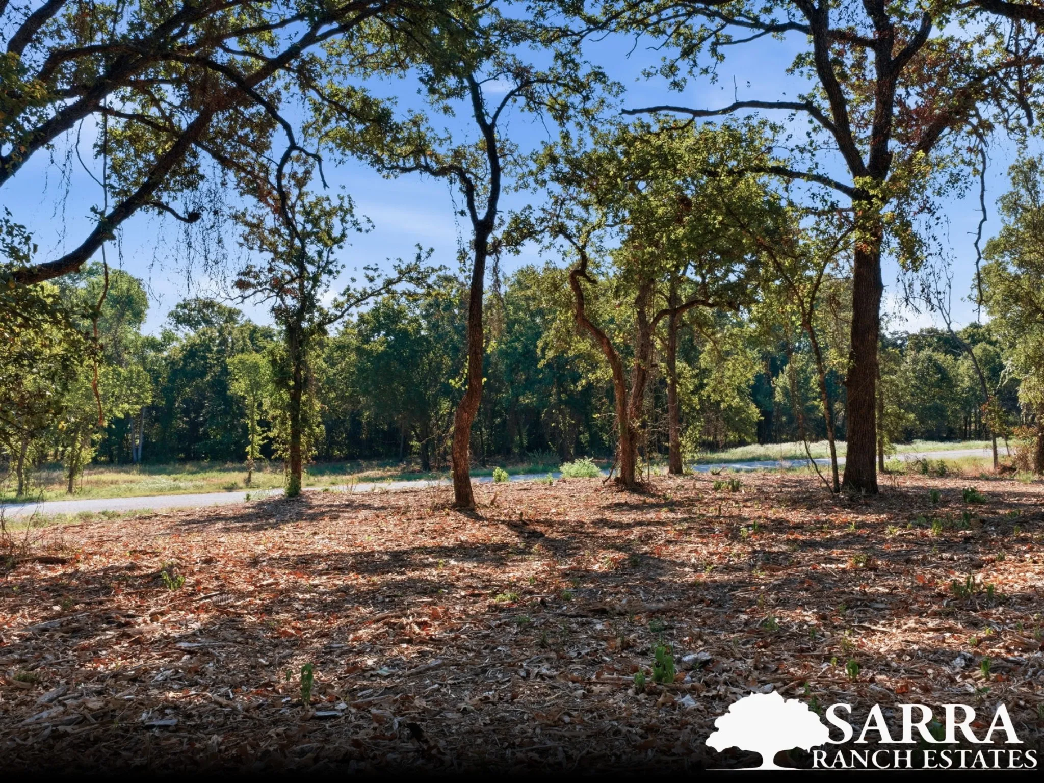 Unimproved Land For Sale in Parker County , Lot 44 Antrim Court, Poolville, Texas 76487, 0, 0, Garage spaces, 0 Sqft, built in 0, mls#21309258, Real Estate Agent in Poolville, Homes For Sale in Parker county, Homes For Sale in Poolville, Realtor in Poolville Texas, Real Estate Brokerage Independent Realty Texas, Luminita Cordes Realtor