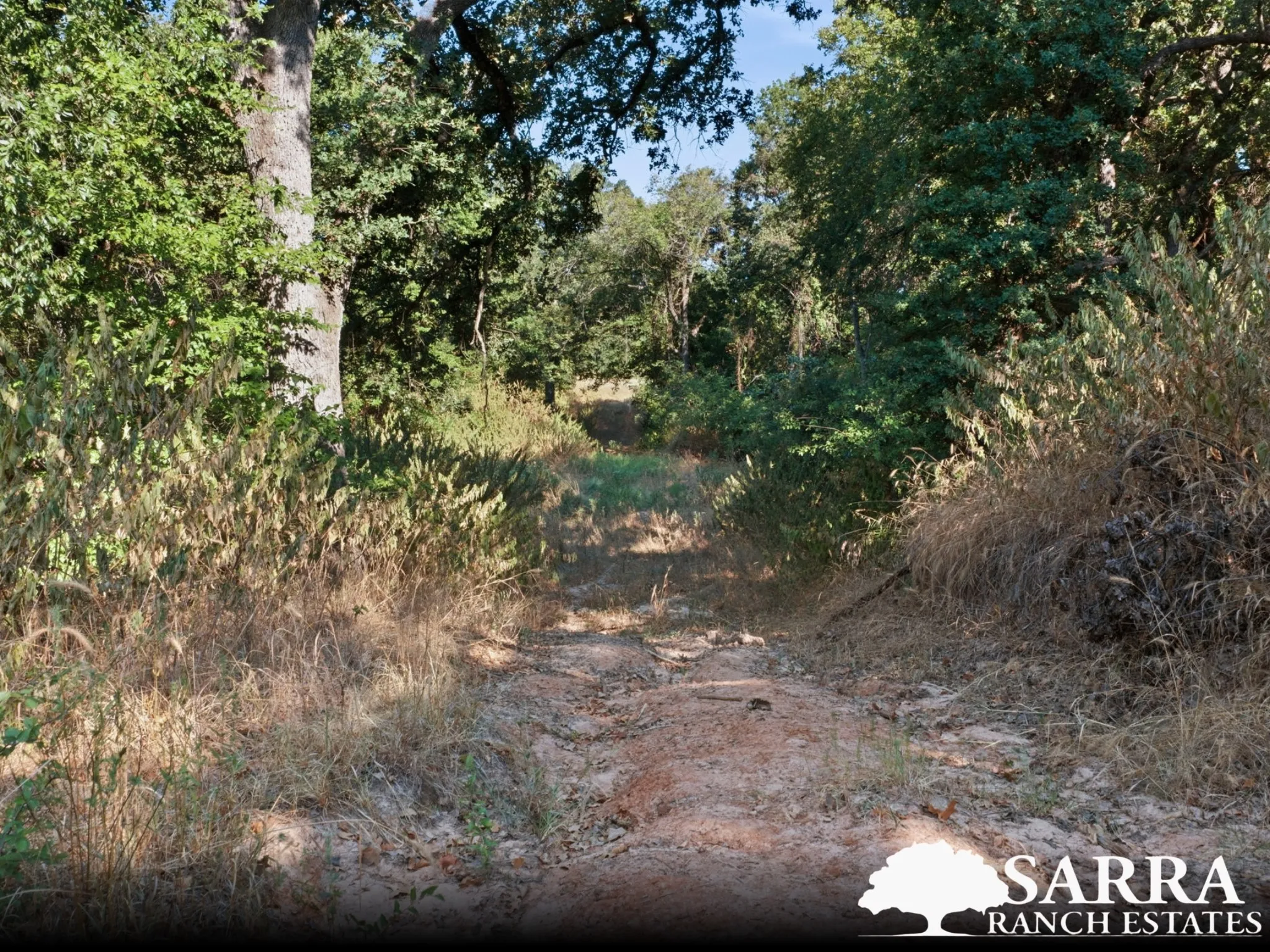 Unimproved Land For Sale in Parker County , Lot 40 Kilkenny Road, Poolville, Texas 76487, 0, 0, Garage spaces, 0 Sqft, built in 0, mls#21309264, Real Estate Agent in Poolville, Homes For Sale in Parker county, Homes For Sale in Poolville, Realtor in Poolville Texas, Real Estate Brokerage Independent Realty Texas, Luminita Cordes Realtor