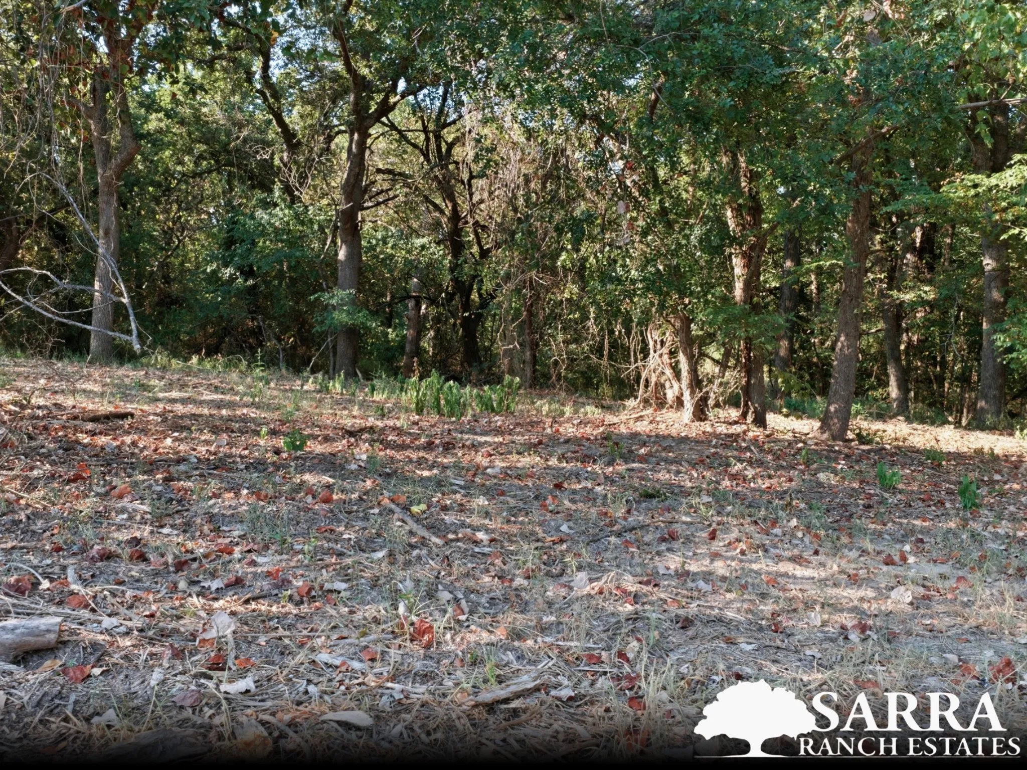 Unimproved Land For Sale in Parker County , Lot 40 Kilkenny Road, Poolville, Texas 76487, 0, 0, Garage spaces, 0 Sqft, built in 0, mls#21309264, Real Estate Agent in Poolville, Homes For Sale in Parker county, Homes For Sale in Poolville, Realtor in Poolville Texas, Real Estate Brokerage Independent Realty Texas, Luminita Cordes Realtor