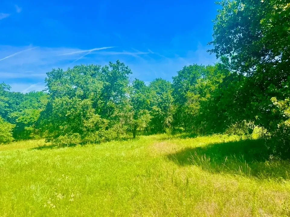 View of nature