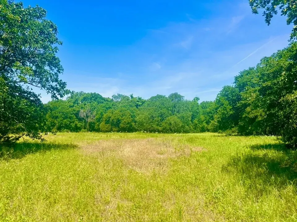 View of landscape