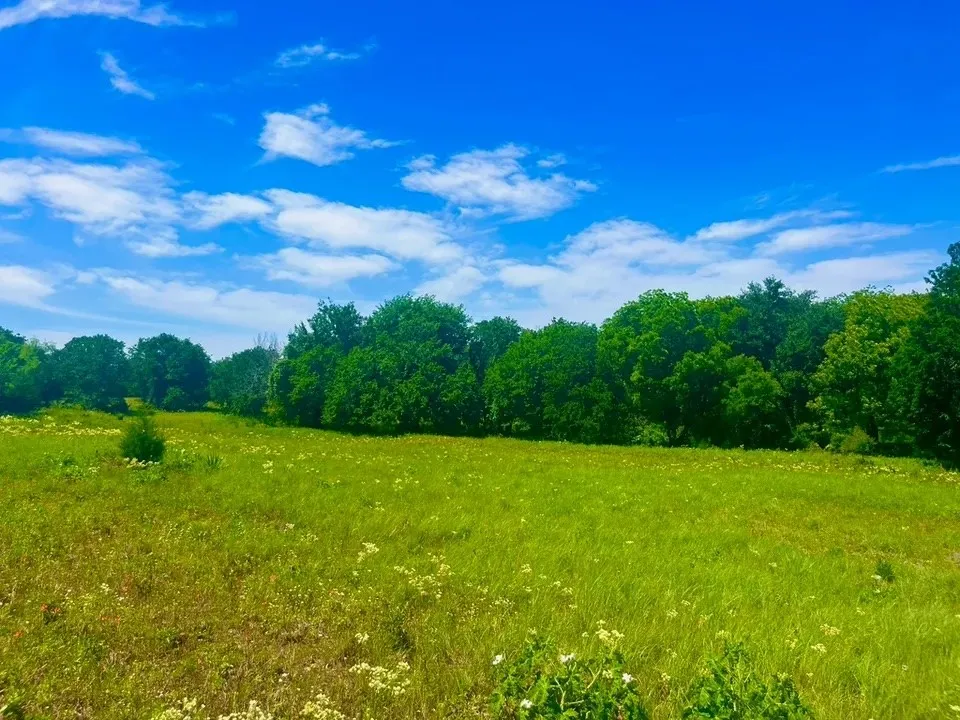 View of nature featuring a rural view