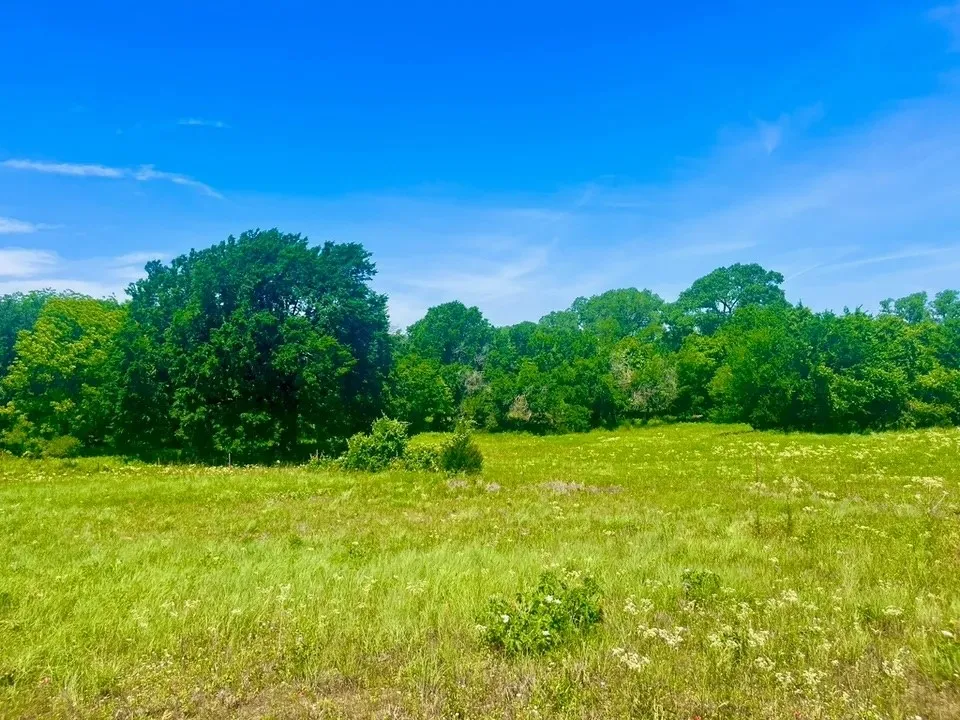 View of nature featuring a rural view