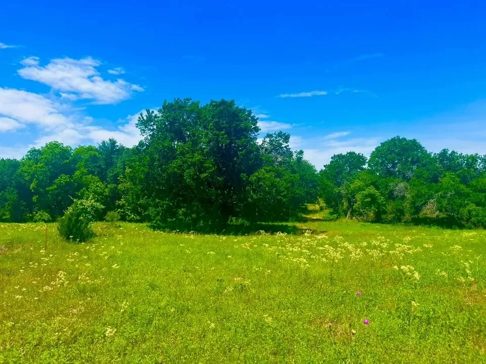Unimproved Land For Sale in Parker County , Lot 100 Arlow Road, Poolville, Texas 76487, 0, 0, Garage spaces, 0 Sqft, built in 0, Price $94,900, mls#21309278, Real Estate Agent in Poolville, Homes For Sale in Parker county, Homes For Sale in Poolville, Realtor in Poolville Texas, Real Estate Brokerage Independent Realty Texas, Luminita Cordes Realtor