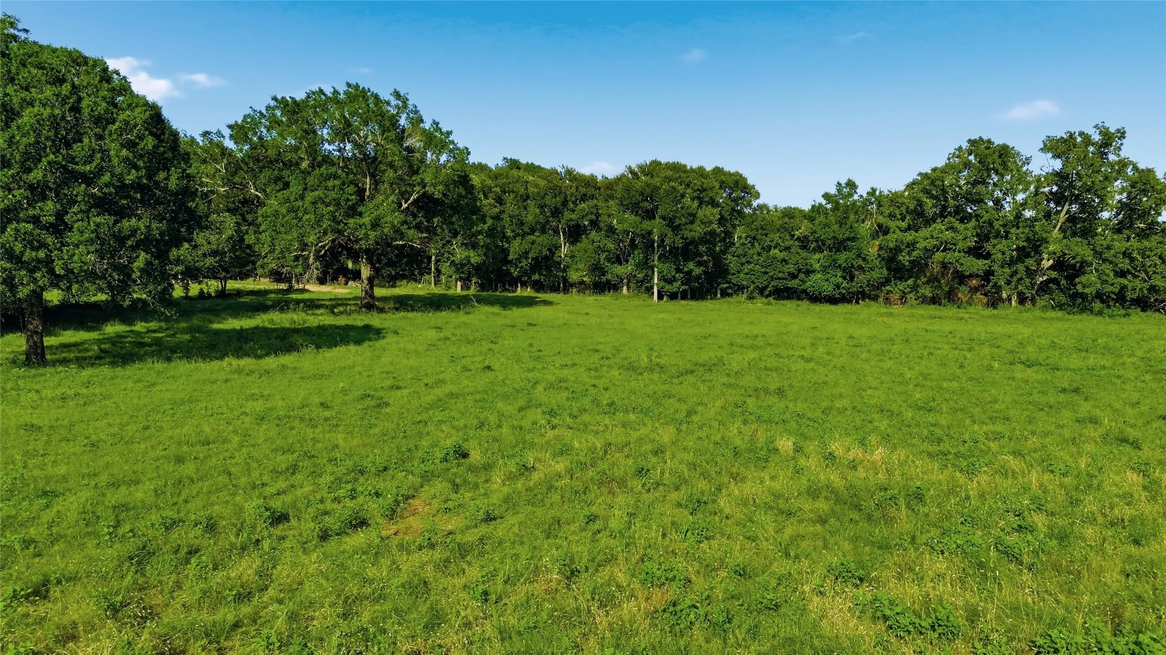 Single Family Residence For Sale in Delta County , 500 County Road 1300, Lake Creek, Texas 75450, 0, 1 Bathroom, Garage spaces, 900 Sqft, built in 2012, mls#21309162, Real Estate Agent in Lake Creek, Homes For Sale in Delta county, Homes For Sale in Lake Creek, Realtor in Lake Creek Texas, Real Estate Brokerage Independent Realty Texas, Luminita Cordes Realtor