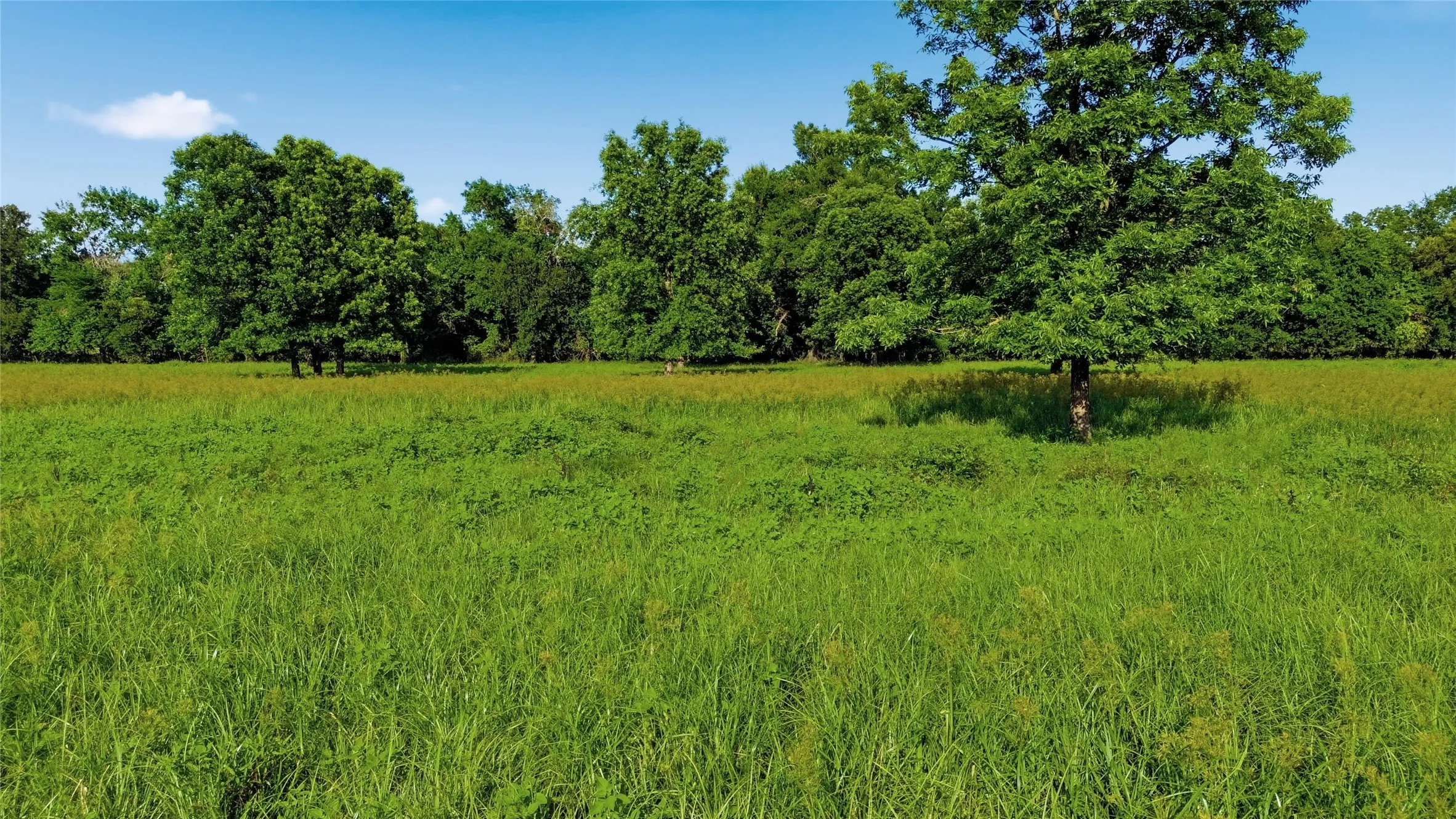 Single Family Residence For Sale in Delta County , 500 County Road 1300, Lake Creek, Texas 75450, 0, 1 Bathroom, Garage spaces, 900 Sqft, built in 2012, mls#21309162, Real Estate Agent in Lake Creek, Homes For Sale in Delta county, Homes For Sale in Lake Creek, Realtor in Lake Creek Texas, Real Estate Brokerage Independent Realty Texas, Luminita Cordes Realtor