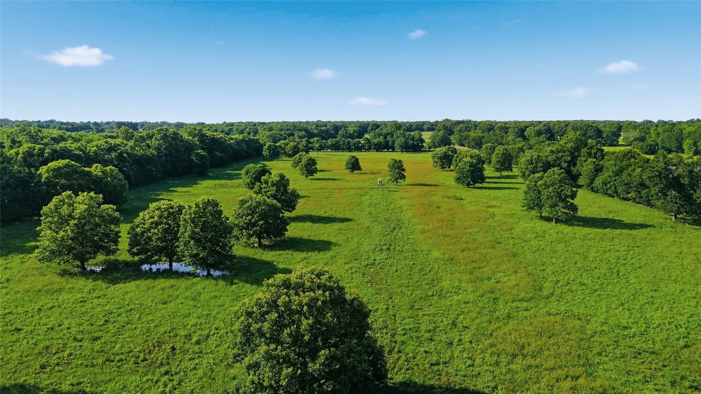 Single Family Residence For Sale in Delta County , 500 County Road 1300, Lake Creek, Texas 75450, 0, 1 Bathroom, Garage spaces, 900 Sqft, built in 2012, mls#21309162, Real Estate Agent in Lake Creek, Homes For Sale in Delta county, Homes For Sale in Lake Creek, Realtor in Lake Creek Texas, Real Estate Brokerage Independent Realty Texas, Luminita Cordes Realtor