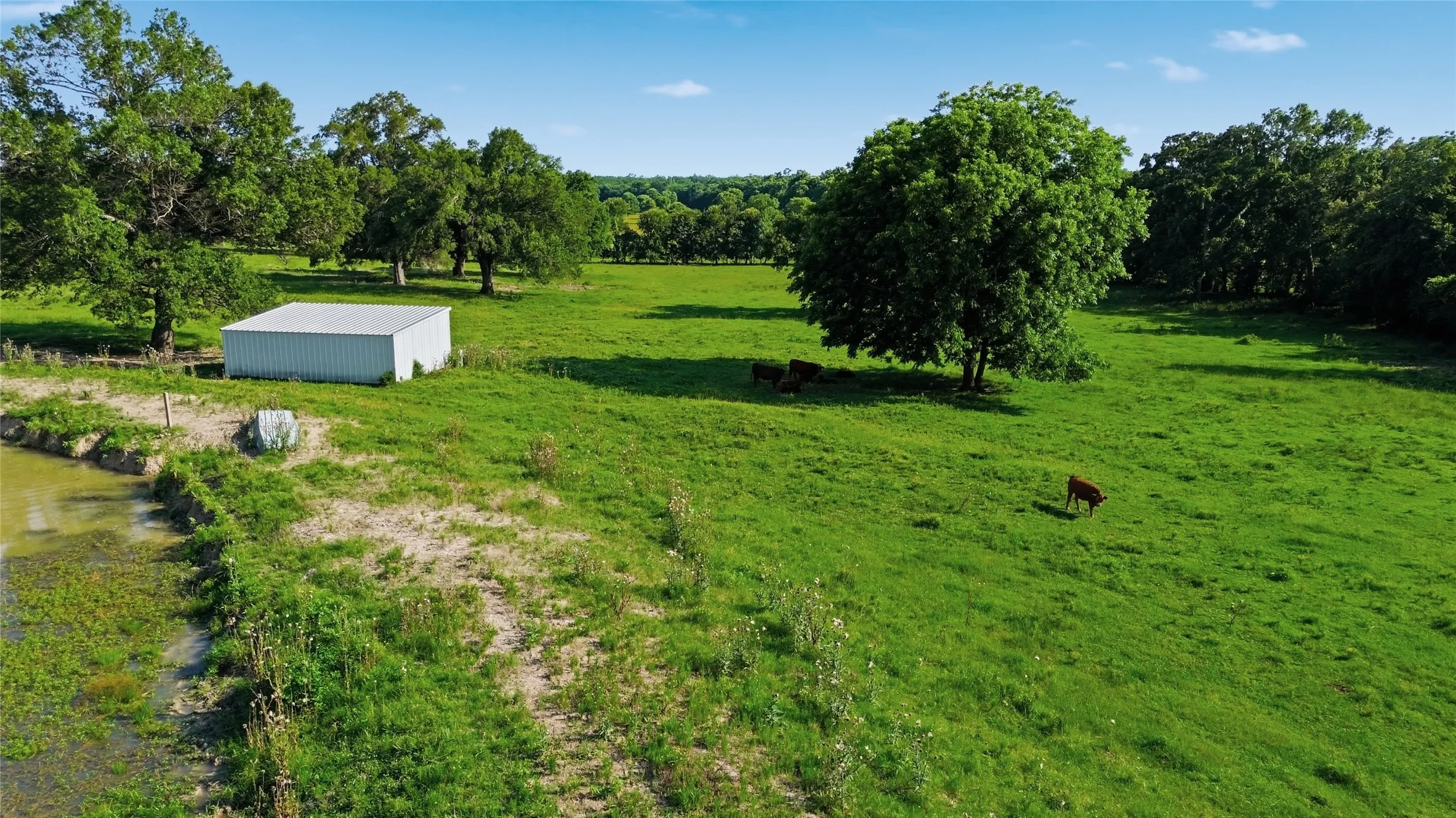 Single Family Residence For Sale in Delta County , 500 County Road 1300, Lake Creek, Texas 75450, 0, 1 Bathroom, Garage spaces, 900 Sqft, built in 2012, mls#21309162, Real Estate Agent in Lake Creek, Homes For Sale in Delta county, Homes For Sale in Lake Creek, Realtor in Lake Creek Texas, Real Estate Brokerage Independent Realty Texas, Luminita Cordes Realtor