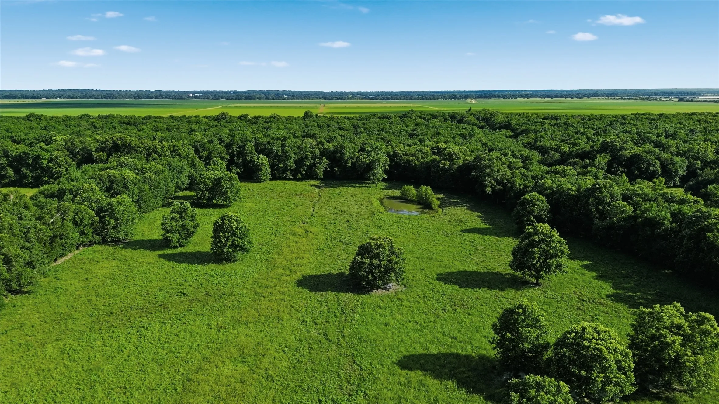 Single Family Residence For Sale in Delta County , 500 County Road 1300, Lake Creek, Texas 75450, 0, 1 Bathroom, Garage spaces, 900 Sqft, built in 2012, mls#21309162, Real Estate Agent in Lake Creek, Homes For Sale in Delta county, Homes For Sale in Lake Creek, Realtor in Lake Creek Texas, Real Estate Brokerage Independent Realty Texas, Luminita Cordes Realtor