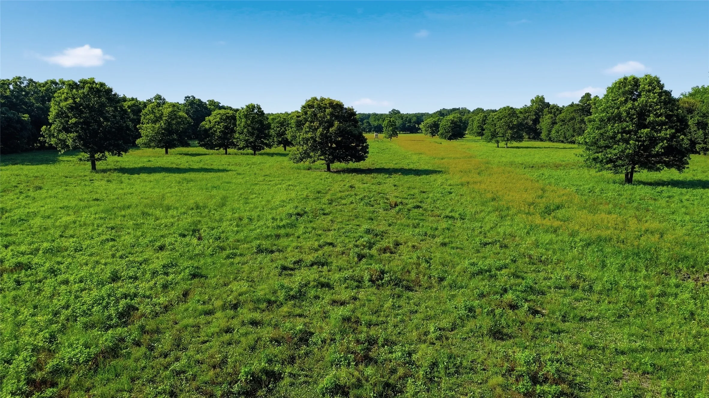 Single Family Residence For Sale in Delta County , 500 County Road 1300, Lake Creek, Texas 75450, 0, 1 Bathroom, Garage spaces, 900 Sqft, built in 2012, mls#21309162, Real Estate Agent in Lake Creek, Homes For Sale in Delta county, Homes For Sale in Lake Creek, Realtor in Lake Creek Texas, Real Estate Brokerage Independent Realty Texas, Luminita Cordes Realtor