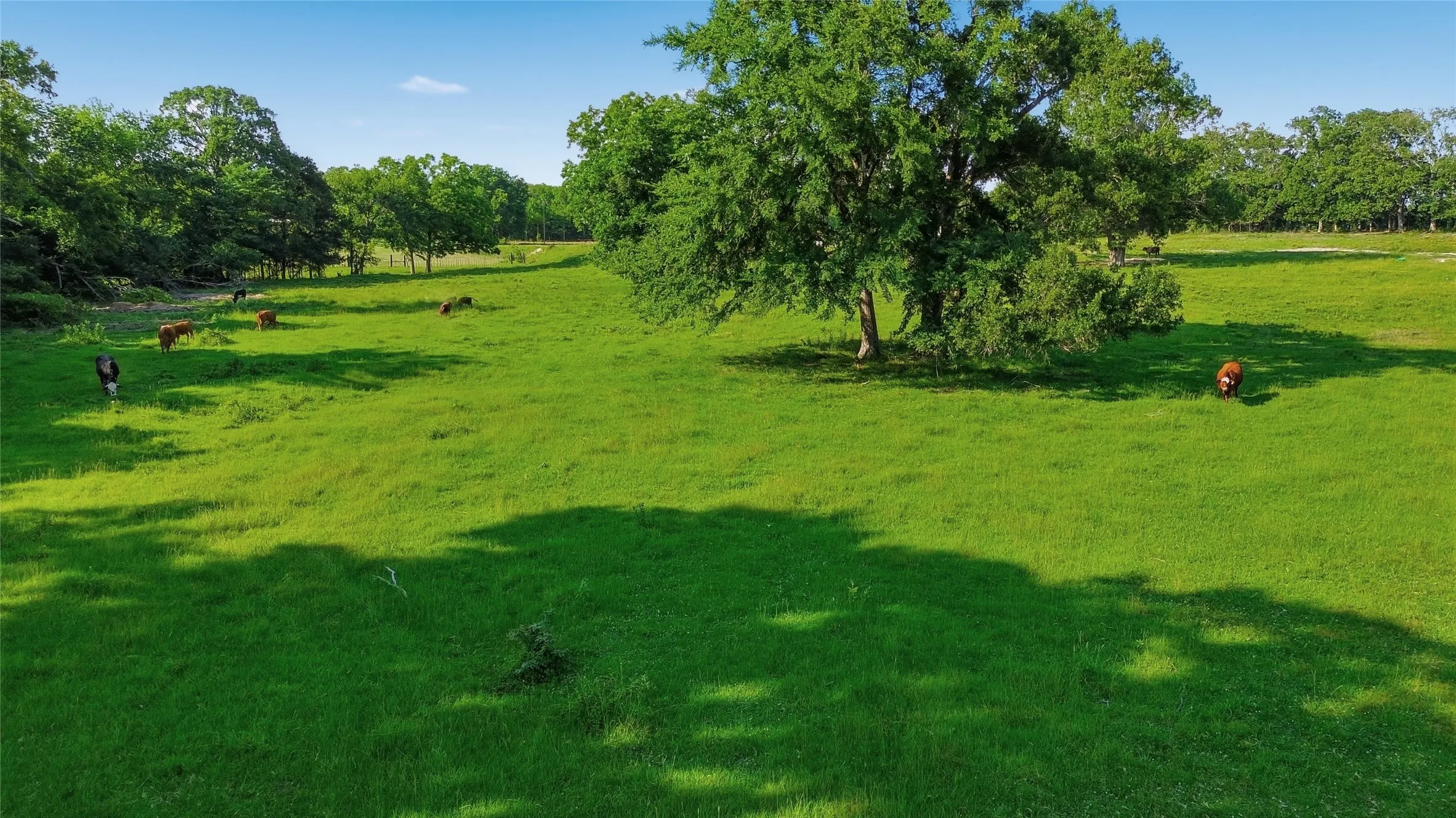 Single Family Residence For Sale in Delta County , 500 County Road 1300, Lake Creek, Texas 75450, 0, 1 Bathroom, Garage spaces, 900 Sqft, built in 2012, mls#21309162, Real Estate Agent in Lake Creek, Homes For Sale in Delta county, Homes For Sale in Lake Creek, Realtor in Lake Creek Texas, Real Estate Brokerage Independent Realty Texas, Luminita Cordes Realtor