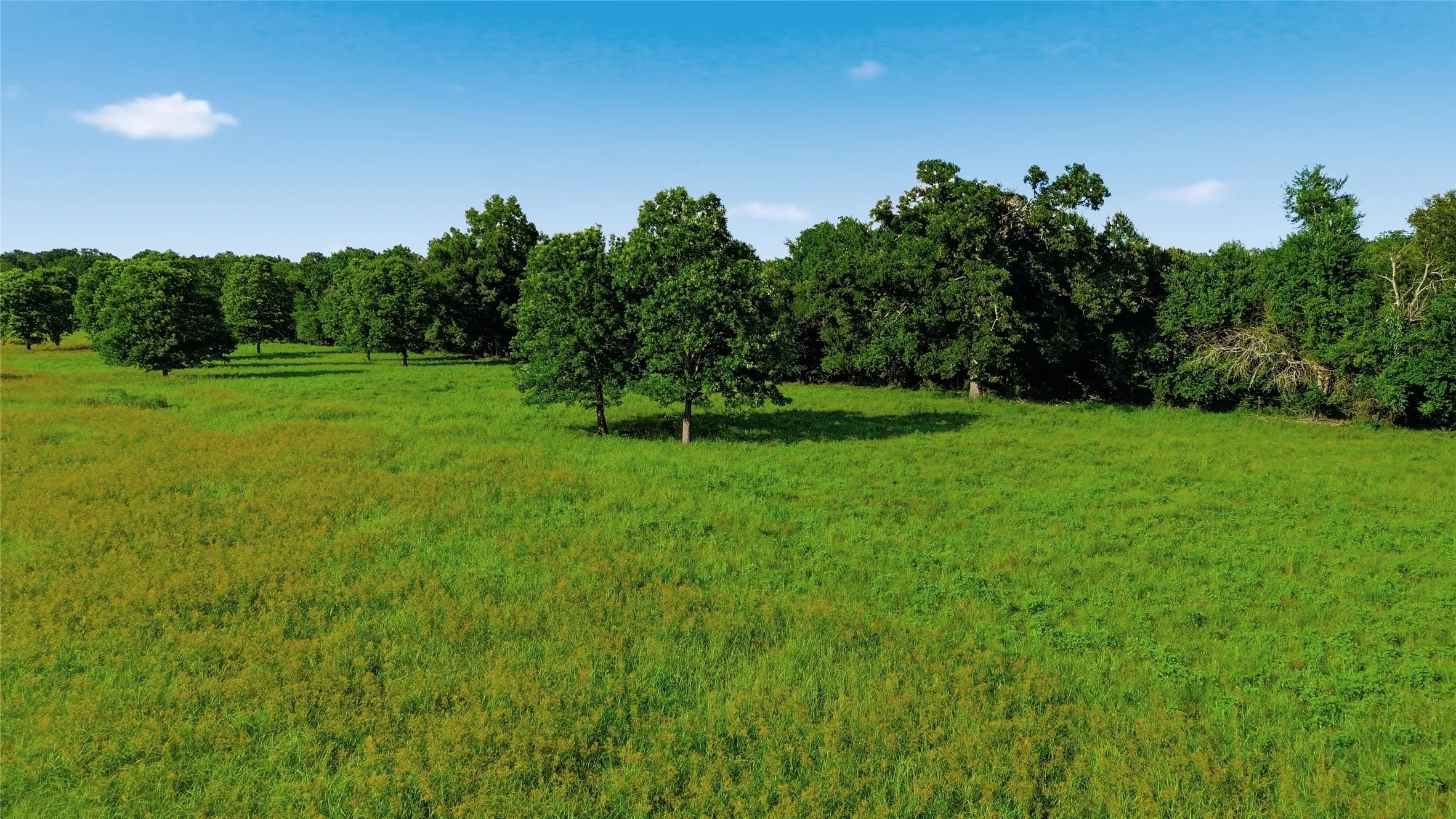 Single Family Residence For Sale in Delta County , 500 County Road 1300, Lake Creek, Texas 75450, 0, 1 Bathroom, Garage spaces, 900 Sqft, built in 2012, mls#21309162, Real Estate Agent in Lake Creek, Homes For Sale in Delta county, Homes For Sale in Lake Creek, Realtor in Lake Creek Texas, Real Estate Brokerage Independent Realty Texas, Luminita Cordes Realtor