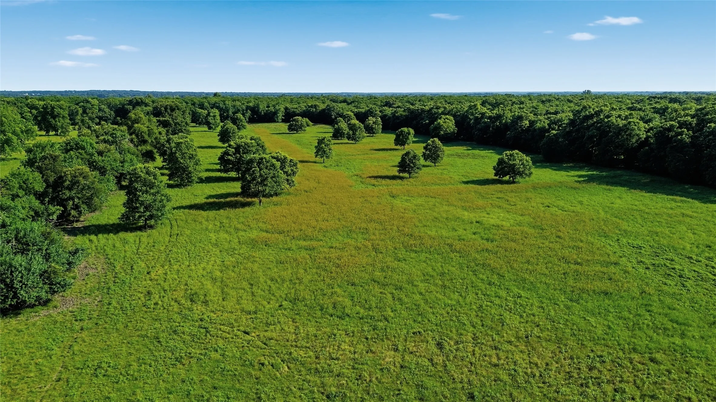 Single Family Residence For Sale in Delta County , 500 County Road 1300, Lake Creek, Texas 75450, 0, 1 Bathroom, Garage spaces, 900 Sqft, built in 2012, mls#21309162, Real Estate Agent in Lake Creek, Homes For Sale in Delta county, Homes For Sale in Lake Creek, Realtor in Lake Creek Texas, Real Estate Brokerage Independent Realty Texas, Luminita Cordes Realtor