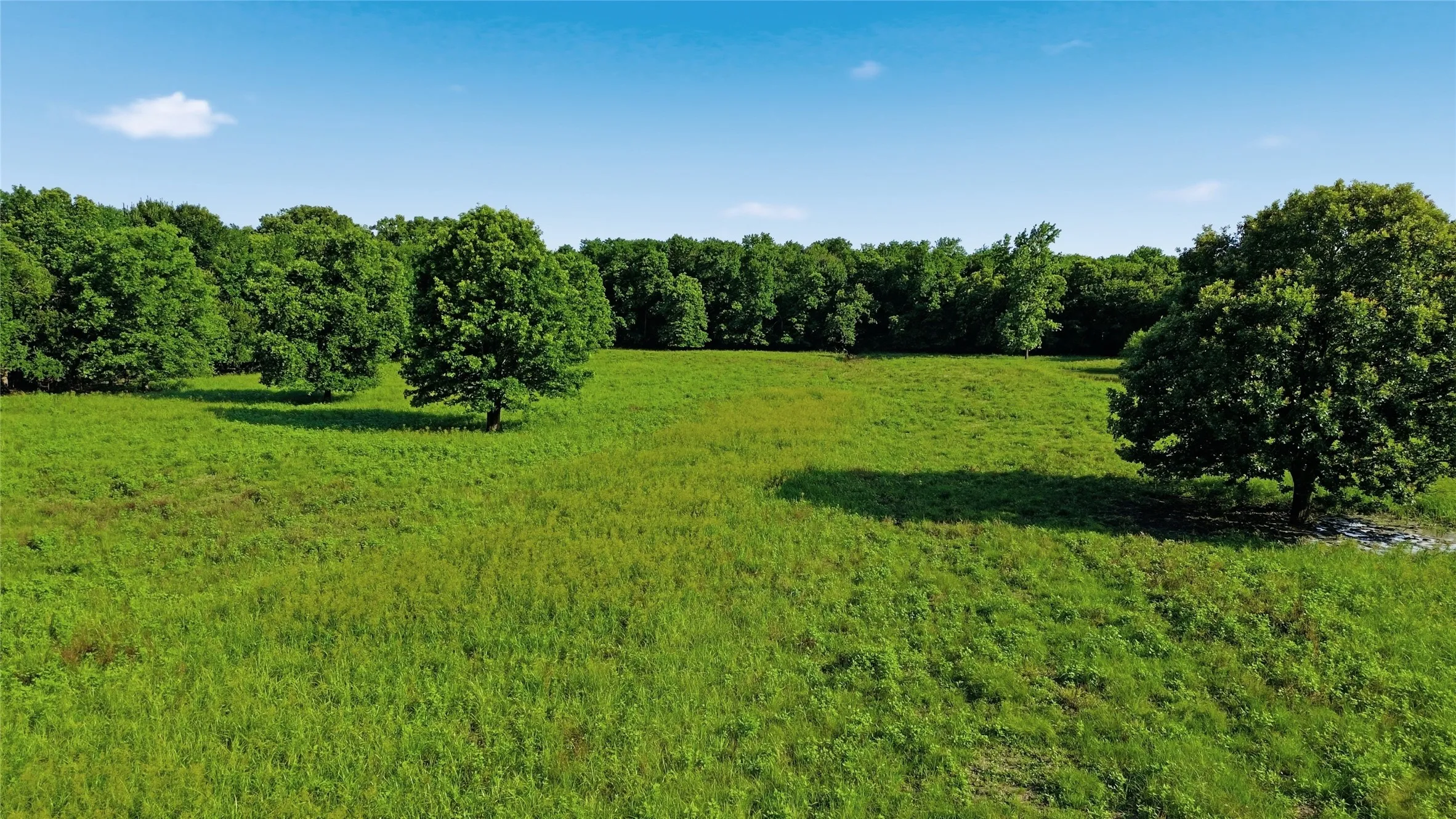 Single Family Residence For Sale in Delta County , 500 County Road 1300, Lake Creek, Texas 75450, 0, 1 Bathroom, Garage spaces, 900 Sqft, built in 2012, mls#21309162, Real Estate Agent in Lake Creek, Homes For Sale in Delta county, Homes For Sale in Lake Creek, Realtor in Lake Creek Texas, Real Estate Brokerage Independent Realty Texas, Luminita Cordes Realtor