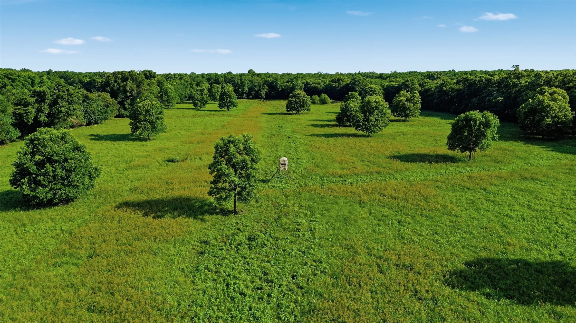 Single Family Residence For Sale in Delta County , 500 County Road 1300, Lake Creek, Texas 75450, 0, 1 Bathroom, Garage spaces, 900 Sqft, built in 2012, mls#21309162, Real Estate Agent in Lake Creek, Homes For Sale in Delta county, Homes For Sale in Lake Creek, Realtor in Lake Creek Texas, Real Estate Brokerage Independent Realty Texas, Luminita Cordes Realtor
