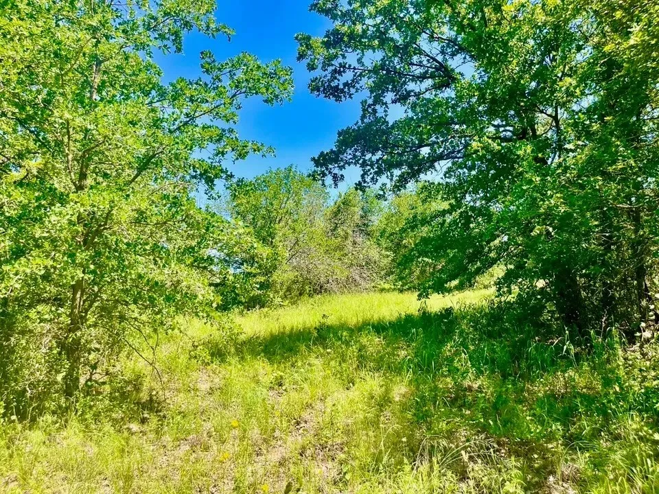View of​​‌​​​​‌​​‌‌​‌‌​​​‌‌​‌​‌​‌​​​‌​​ nature