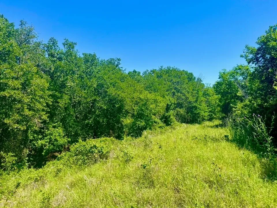 Unimproved Land For Sale in Parker County , Lot 35 Galway Road, Poolville, Texas 76487, 0, 0, Garage spaces, 0 Sqft, built in 0, Price $79,900, mls#21309300, Real Estate Agent in Poolville, Homes For Sale in Parker county, Homes For Sale in Poolville, Realtor in Poolville Texas, Real Estate Brokerage Independent Realty Texas, Luminita Cordes Realtor