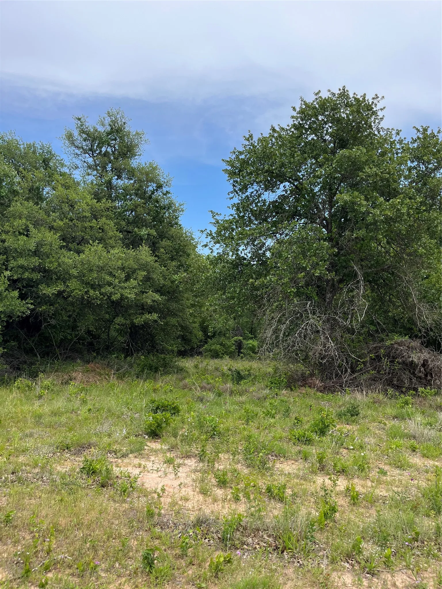 Unimproved Land For Sale in Parker County , Lot 96 Kilkenny Rd, Poolville, Texas 76487, 0, 0, Garage spaces, 0 Sqft, built in 0, mls#21309365, Real Estate Agent in Poolville, Homes For Sale in Parker county, Homes For Sale in Poolville, Realtor in Poolville Texas, Real Estate Brokerage Independent Realty Texas, Luminita Cordes Realtor