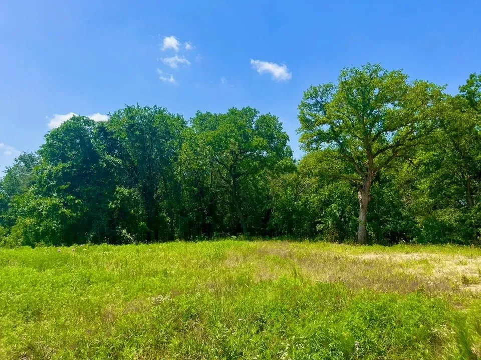 View of nature