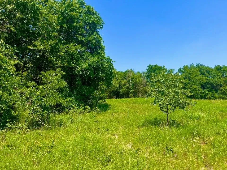 Unimproved Land For Sale in Parker County , Lot 49 Wicklow Court, Poolville, Texas 76487, 0, 0, Garage spaces, 0 Sqft, built in 0, mls#21309373, Real Estate Agent in Poolville, Homes For Sale in Parker county, Homes For Sale in Poolville, Realtor in Poolville Texas, Real Estate Brokerage Independent Realty Texas, Luminita Cordes Realtor