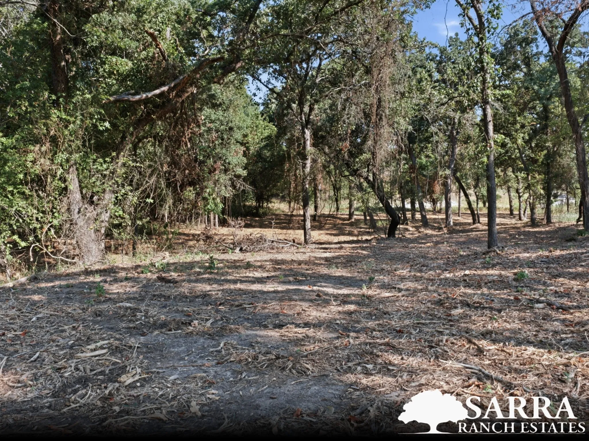Unimproved Land For Sale in Parker County , Lot 48 Antrim Court, Poolville, Texas 76487, 0, 0, Garage spaces, 0 Sqft, built in 0, mls#21309378, Real Estate Agent in Poolville, Homes For Sale in Parker county, Homes For Sale in Poolville, Realtor in Poolville Texas, Real Estate Brokerage Independent Realty Texas, Luminita Cordes Realtor