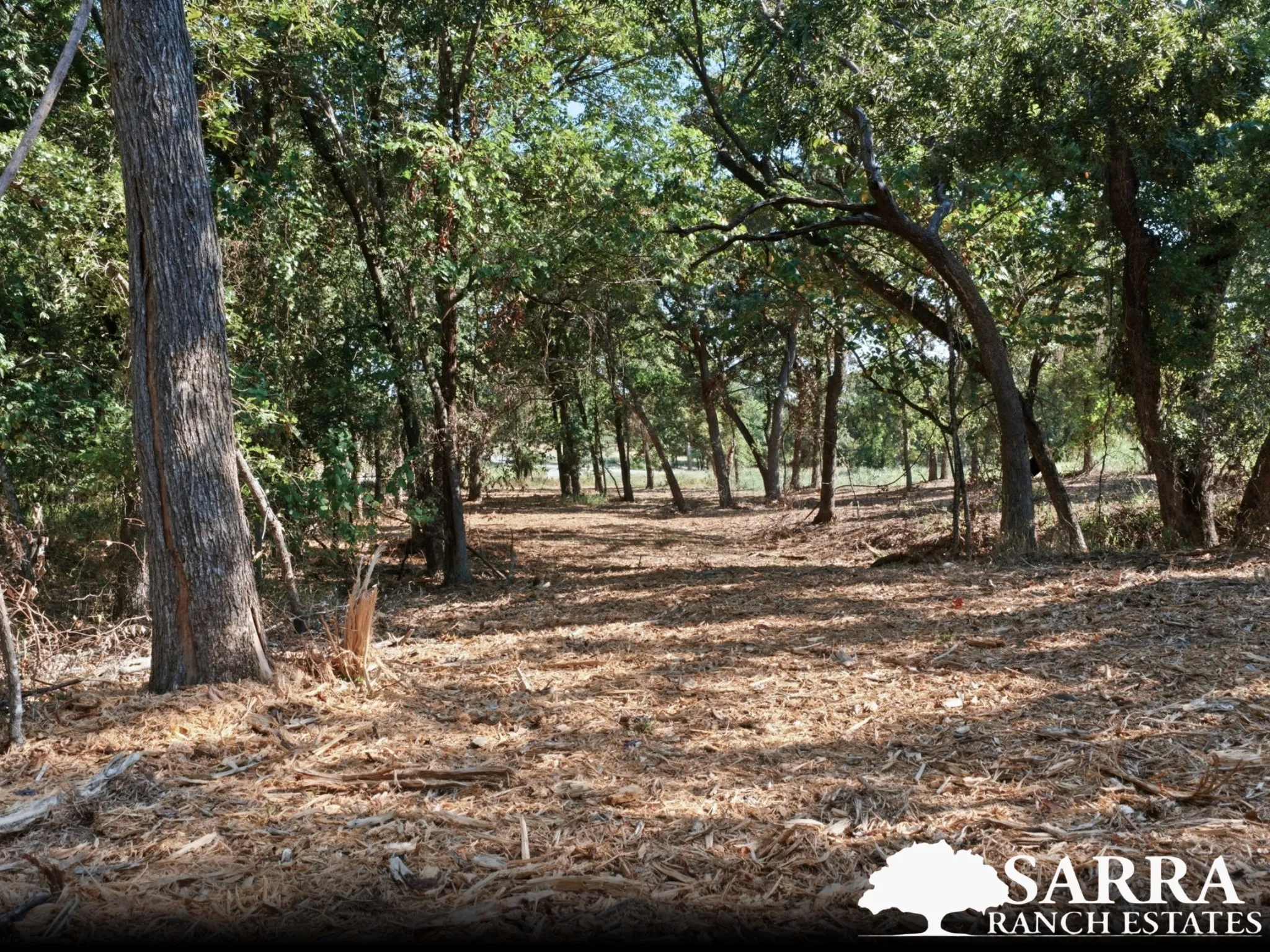 Unimproved Land For Sale in Parker County , Lot 48 Antrim Court, Poolville, Texas 76487, 0, 0, Garage spaces, 0 Sqft, built in 0, mls#21309378, Real Estate Agent in Poolville, Homes For Sale in Parker county, Homes For Sale in Poolville, Realtor in Poolville Texas, Real Estate Brokerage Independent Realty Texas, Luminita Cordes Realtor