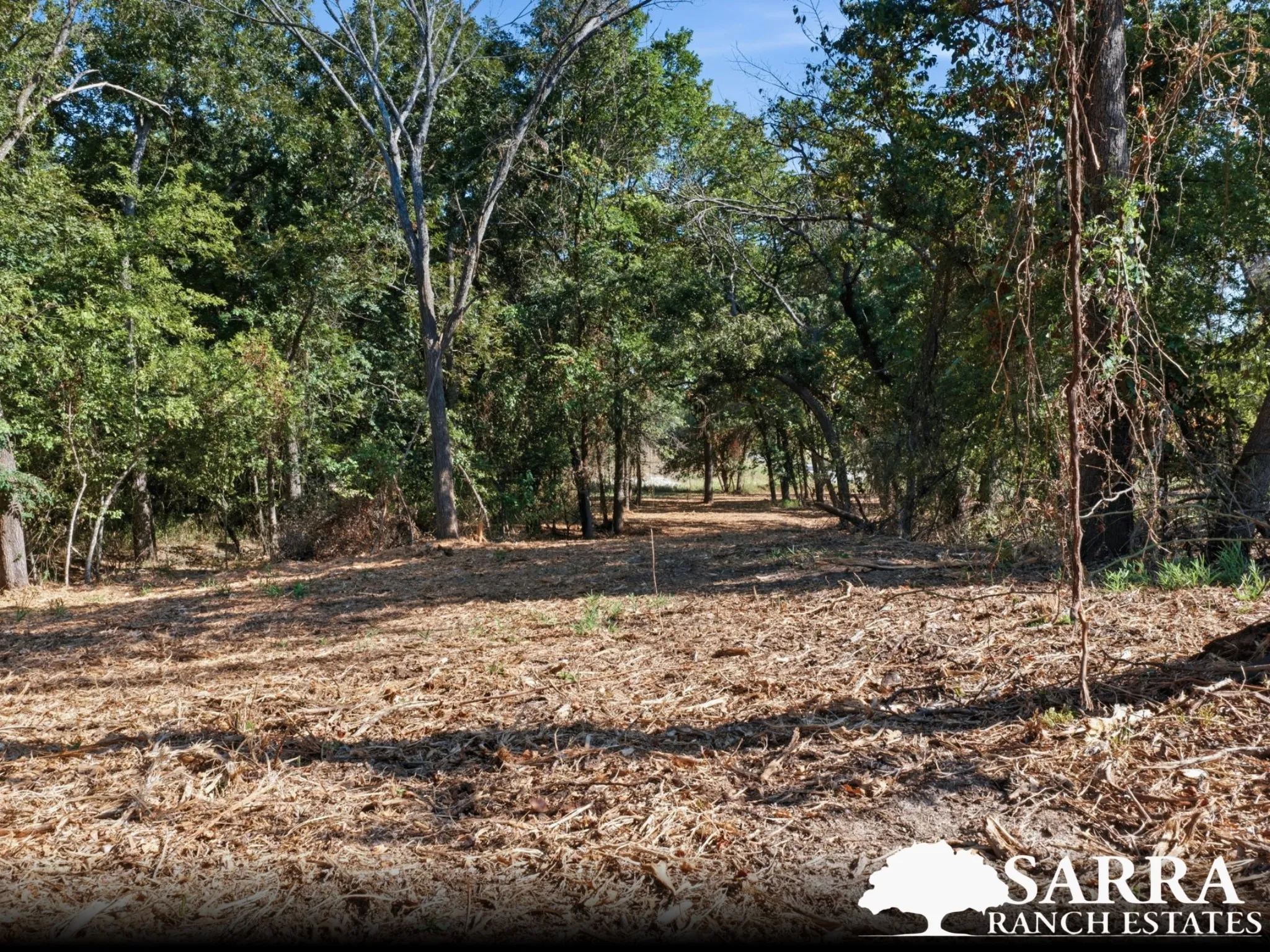 Unimproved Land For Sale in Parker County , Lot 48 Antrim Court, Poolville, Texas 76487, 0, 0, Garage spaces, 0 Sqft, built in 0, mls#21309378, Real Estate Agent in Poolville, Homes For Sale in Parker county, Homes For Sale in Poolville, Realtor in Poolville Texas, Real Estate Brokerage Independent Realty Texas, Luminita Cordes Realtor