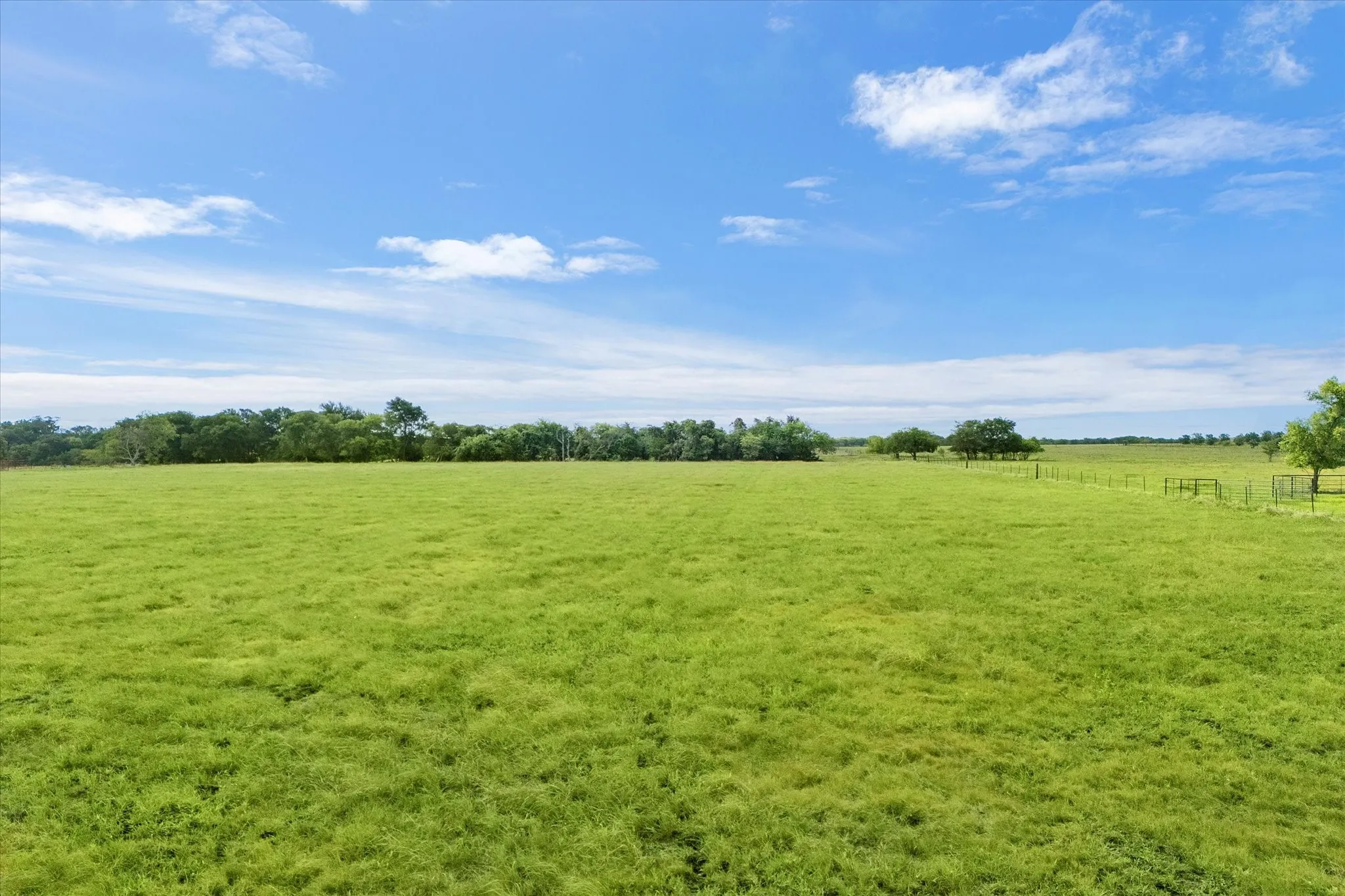 Improved Land For Sale in Ellis County , TBD Holder Road, Waxahachie, Texas 75165, 0, 0, Garage spaces, 0 Sqft, built in 0, mls#21309294, Real Estate Agent in Waxahachie, Homes For Sale in Ellis county, Homes For Sale in Waxahachie, Realtor in Waxahachie Texas, Real Estate Brokerage Independent Realty Texas, Luminita Cordes Realtor