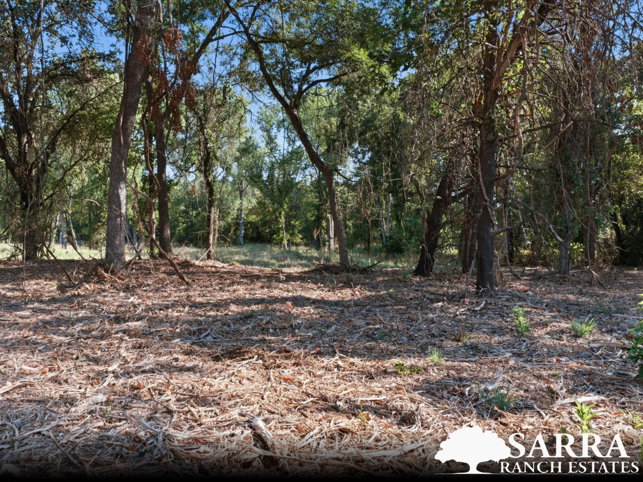 Unimproved Land For Sale in Parker County , Lot 46 Antrim Court, Poolville, Texas 76487, 0, 0, Garage spaces, 0 Sqft, built in 0, mls#21309392, Real Estate Agent in Poolville, Homes For Sale in Parker county, Homes For Sale in Poolville, Realtor in Poolville Texas, Real Estate Brokerage Independent Realty Texas, Luminita Cordes Realtor