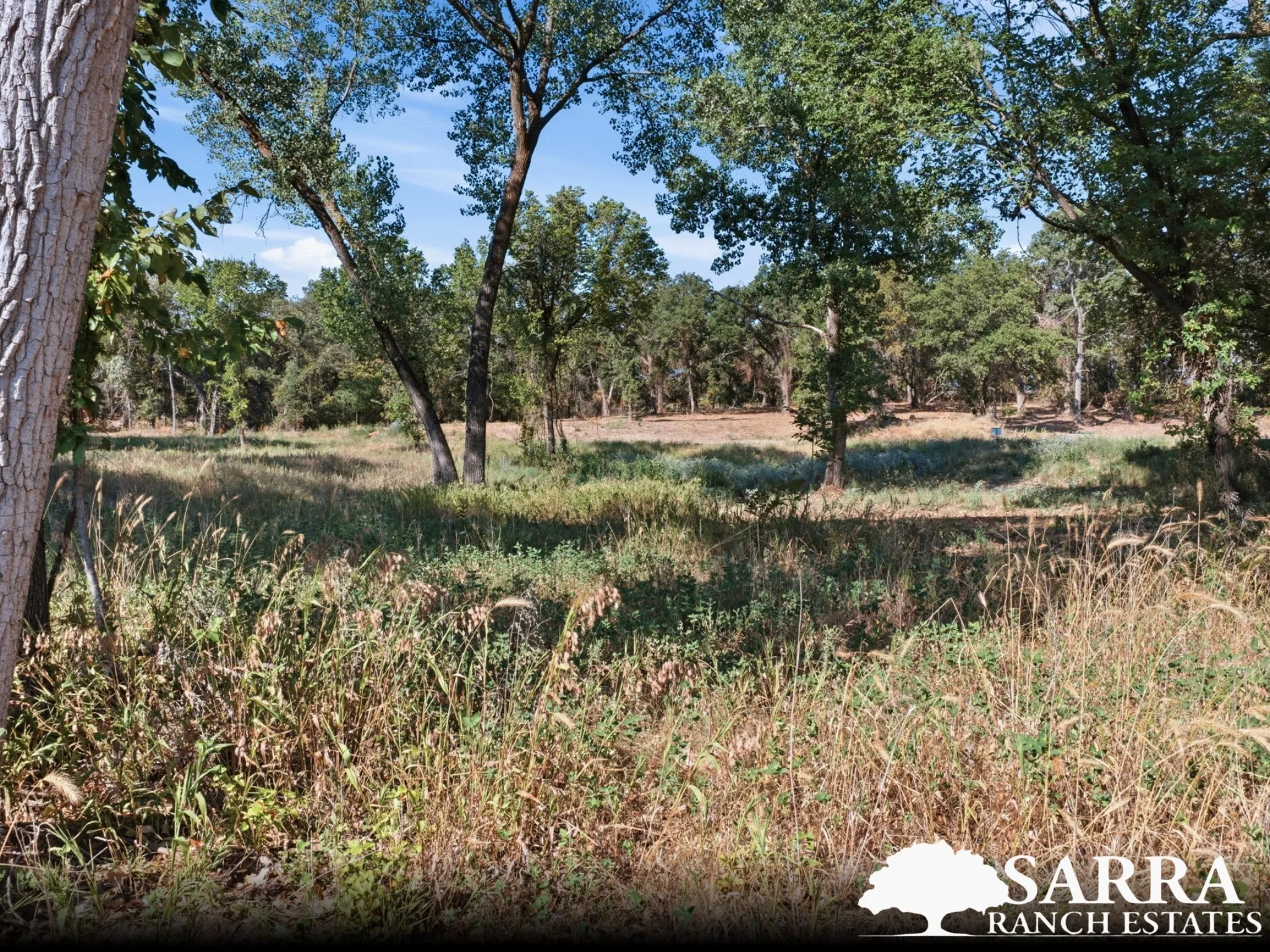 Unimproved Land For Sale in Parker County , Lot 46 Antrim Court, Poolville, Texas 76487, 0, 0, Garage spaces, 0 Sqft, built in 0, mls#21309392, Real Estate Agent in Poolville, Homes For Sale in Parker county, Homes For Sale in Poolville, Realtor in Poolville Texas, Real Estate Brokerage Independent Realty Texas, Luminita Cordes Realtor