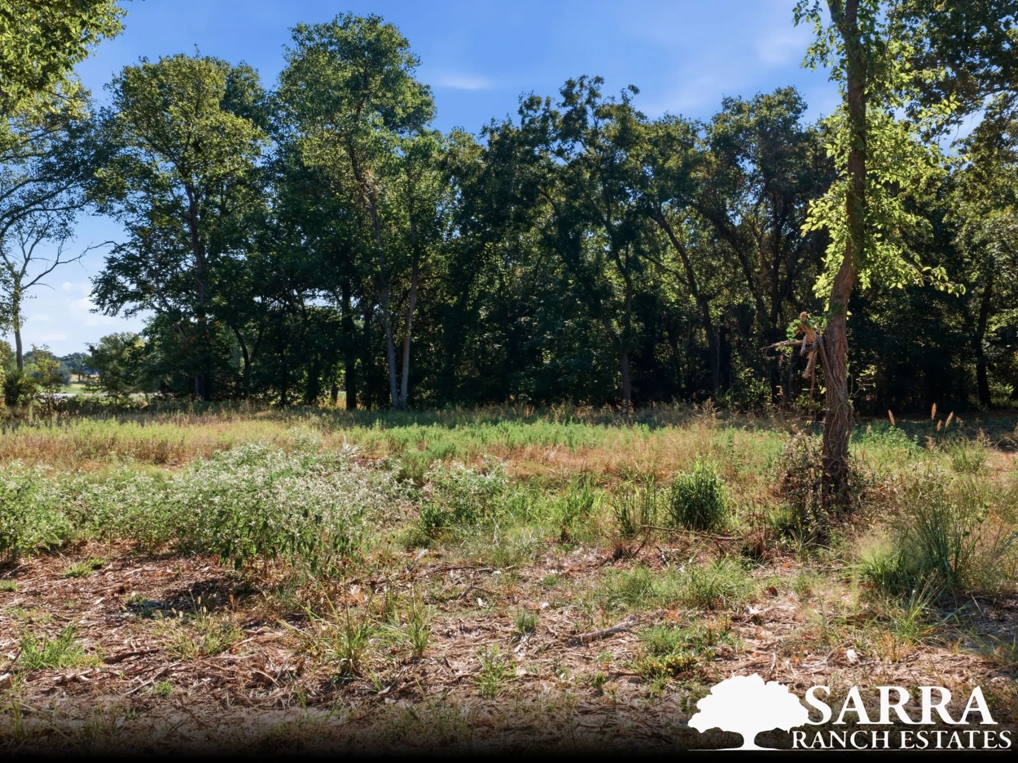 Unimproved Land For Sale in Parker County , Lot 46 Antrim Court, Poolville, Texas 76487, 0, 0, Garage spaces, 0 Sqft, built in 0, mls#21309392, Real Estate Agent in Poolville, Homes For Sale in Parker county, Homes For Sale in Poolville, Realtor in Poolville Texas, Real Estate Brokerage Independent Realty Texas, Luminita Cordes Realtor