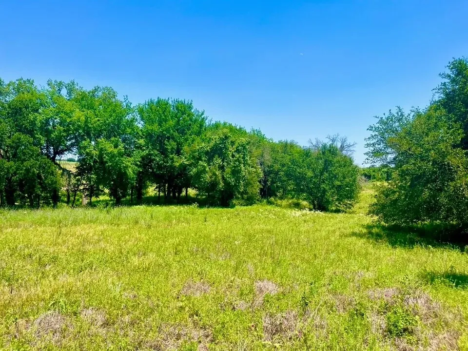 Unimproved Land For Sale in Parker County , Lot 89 Kerry Court, Poolville, Texas 76487, 0, 0, Garage spaces, 0 Sqft, built in 0, Price $94,900, mls#21309402, Real Estate Agent in Poolville, Homes For Sale in Parker county, Homes For Sale in Poolville, Realtor in Poolville Texas, Real Estate Brokerage Independent Realty Texas, Luminita Cordes Realtor