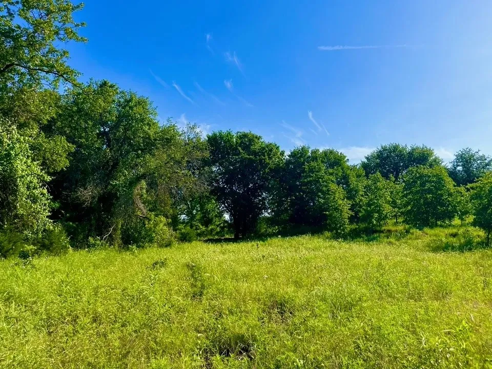 View of landscape