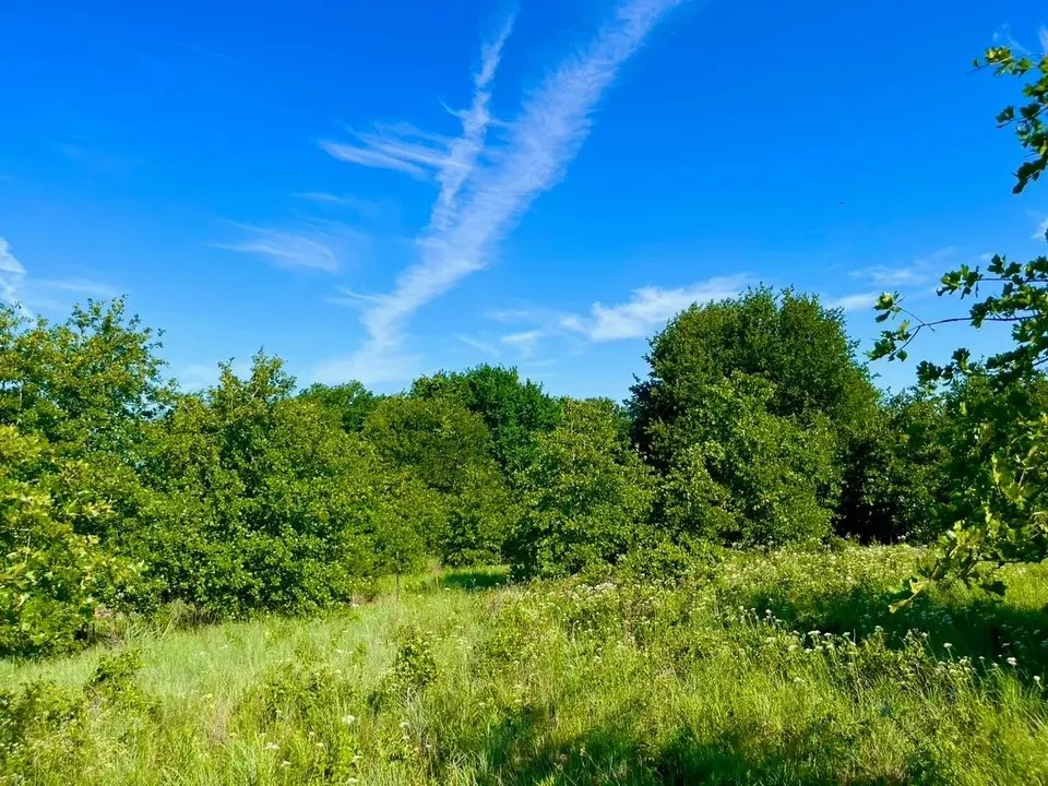 Unimproved Land For Sale in Parker County , Lot 53 Wicklow Court, Poolville, Texas 76487, 0, 0, Garage spaces, 0 Sqft, built in 0, mls#21309414, Real Estate Agent in Poolville, Homes For Sale in Parker county, Homes For Sale in Poolville, Realtor in Poolville Texas, Real Estate Brokerage Independent Realty Texas, Luminita Cordes Realtor