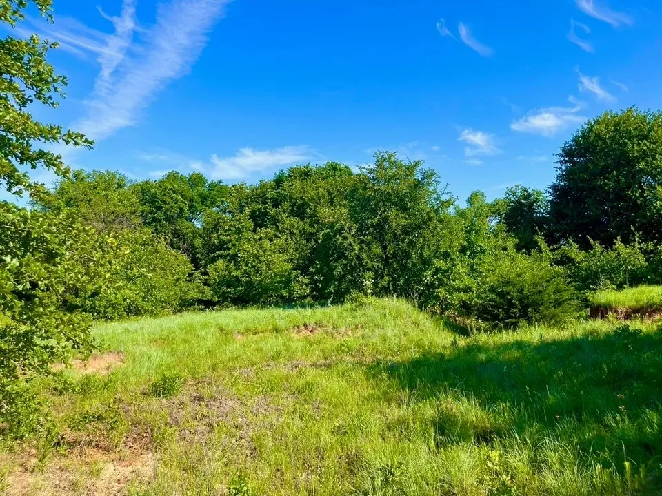 View of landscape