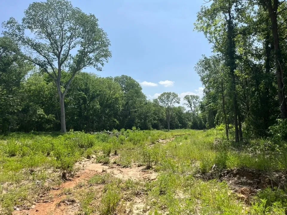 Unimproved Land For Sale in Parker County , Lot 45 Antrim Ct, Poolville, Texas 76487, 0, 0, Garage spaces, 0 Sqft, built in 0, mls#21309423, Real Estate Agent in Poolville, Homes For Sale in Parker county, Homes For Sale in Poolville, Realtor in Poolville Texas, Real Estate Brokerage Independent Realty Texas, Luminita Cordes Realtor