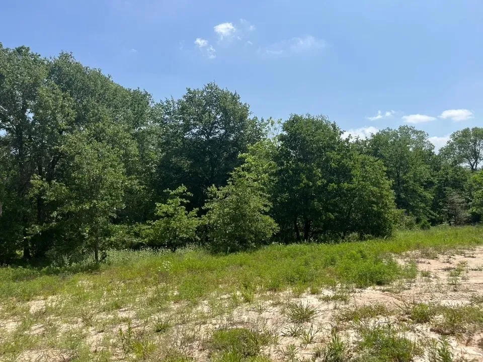 View of nature